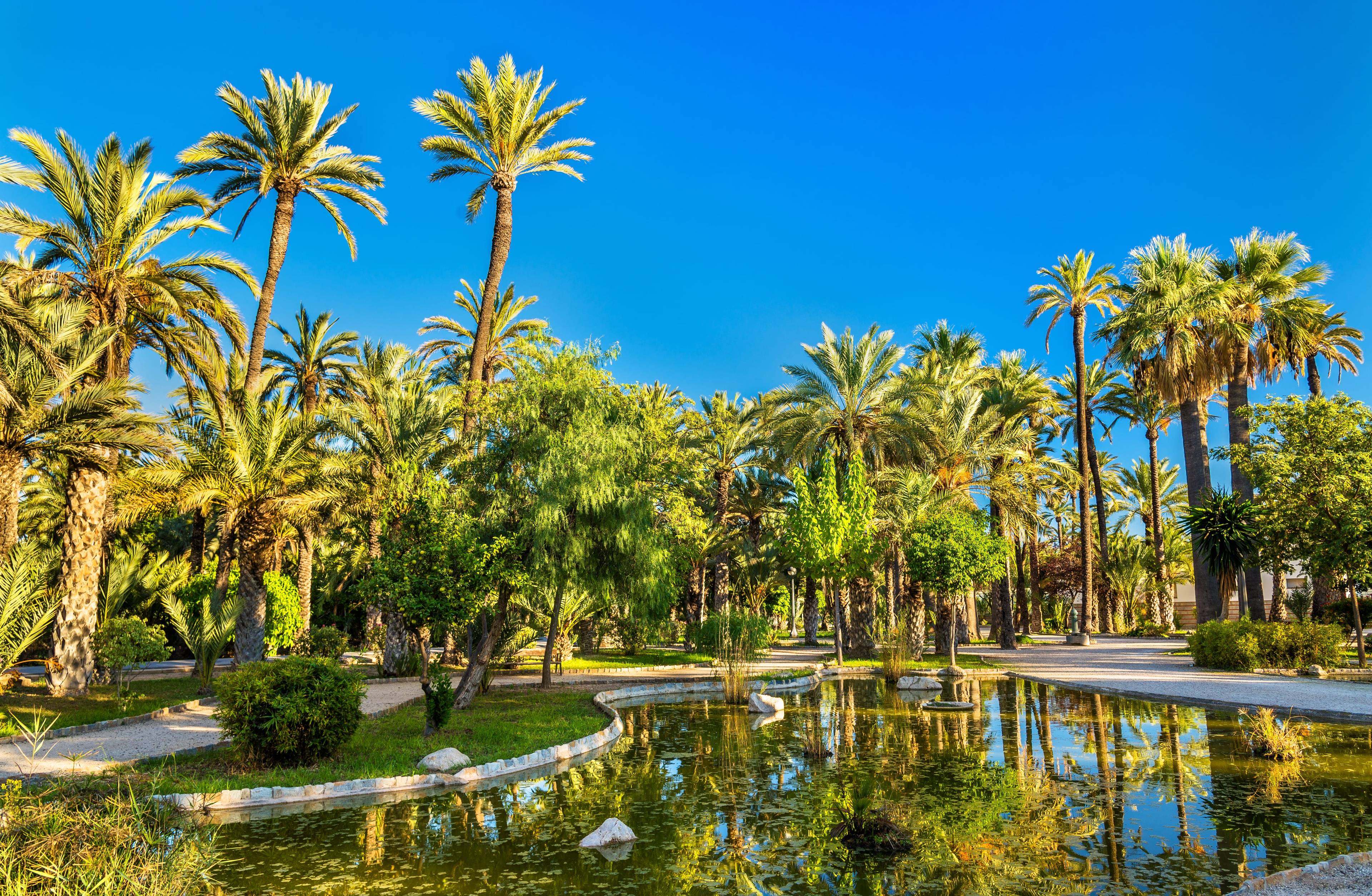 Palmeral of Elche