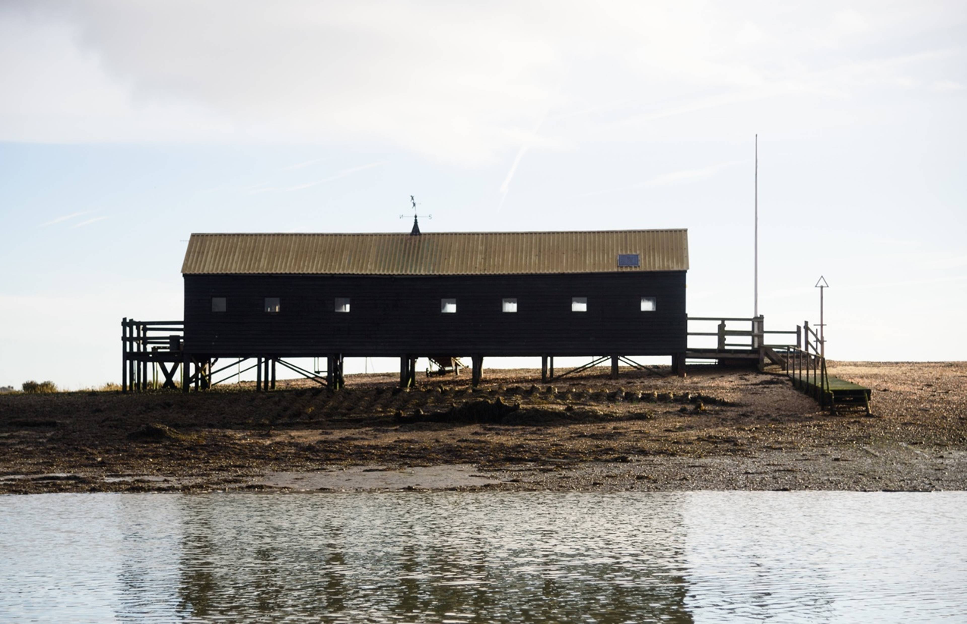 Colchester Oyster Fishery Ltd