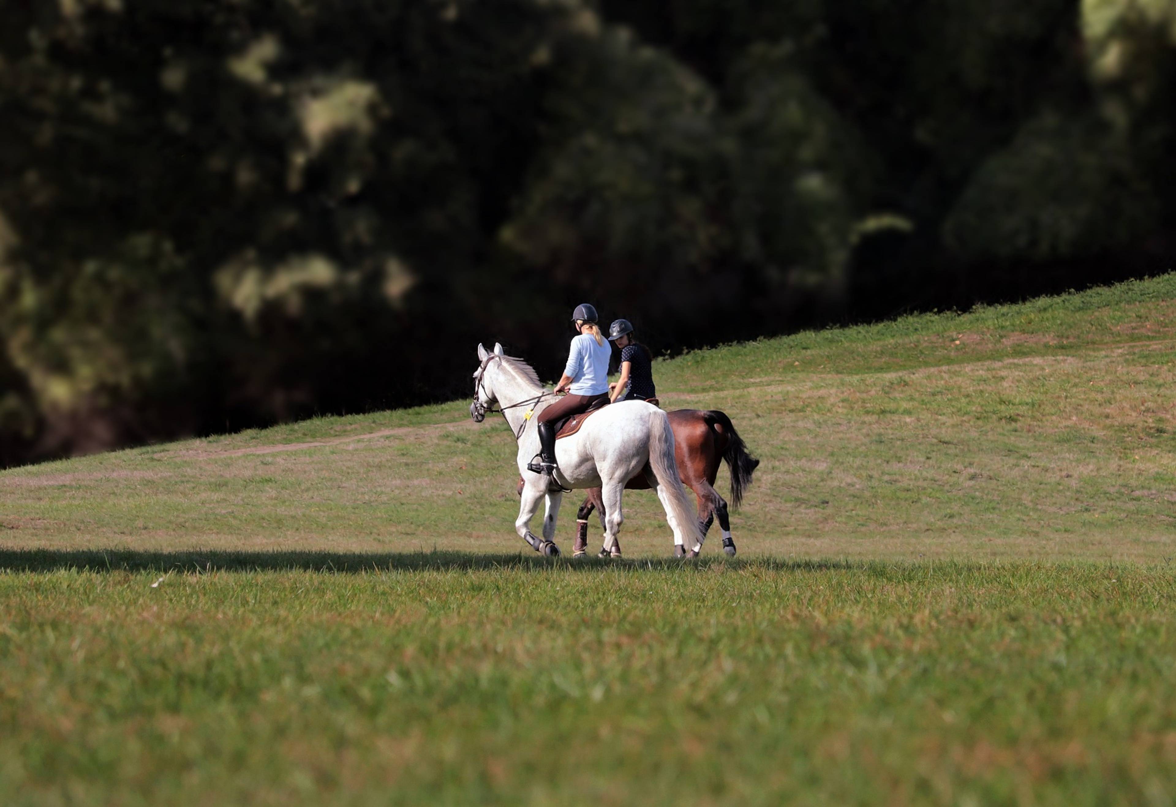 Ivanovo equestrian complex