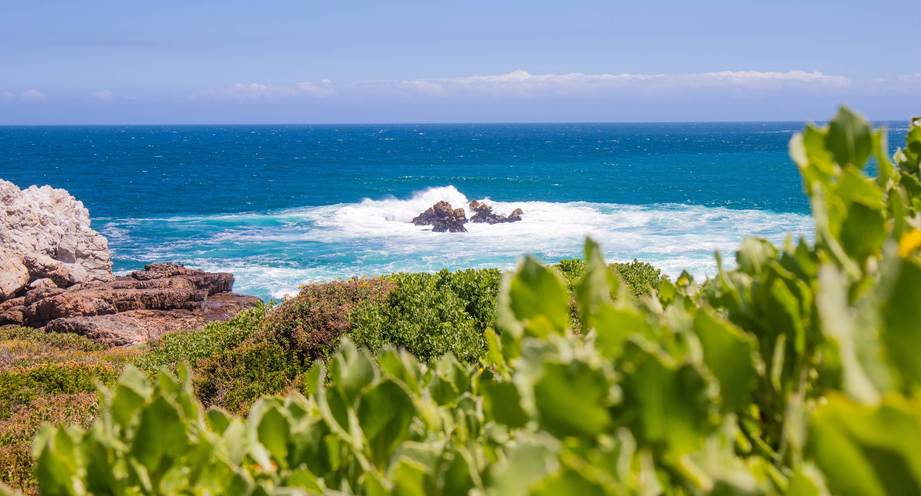 Beaches, Whales and Nature Reserves