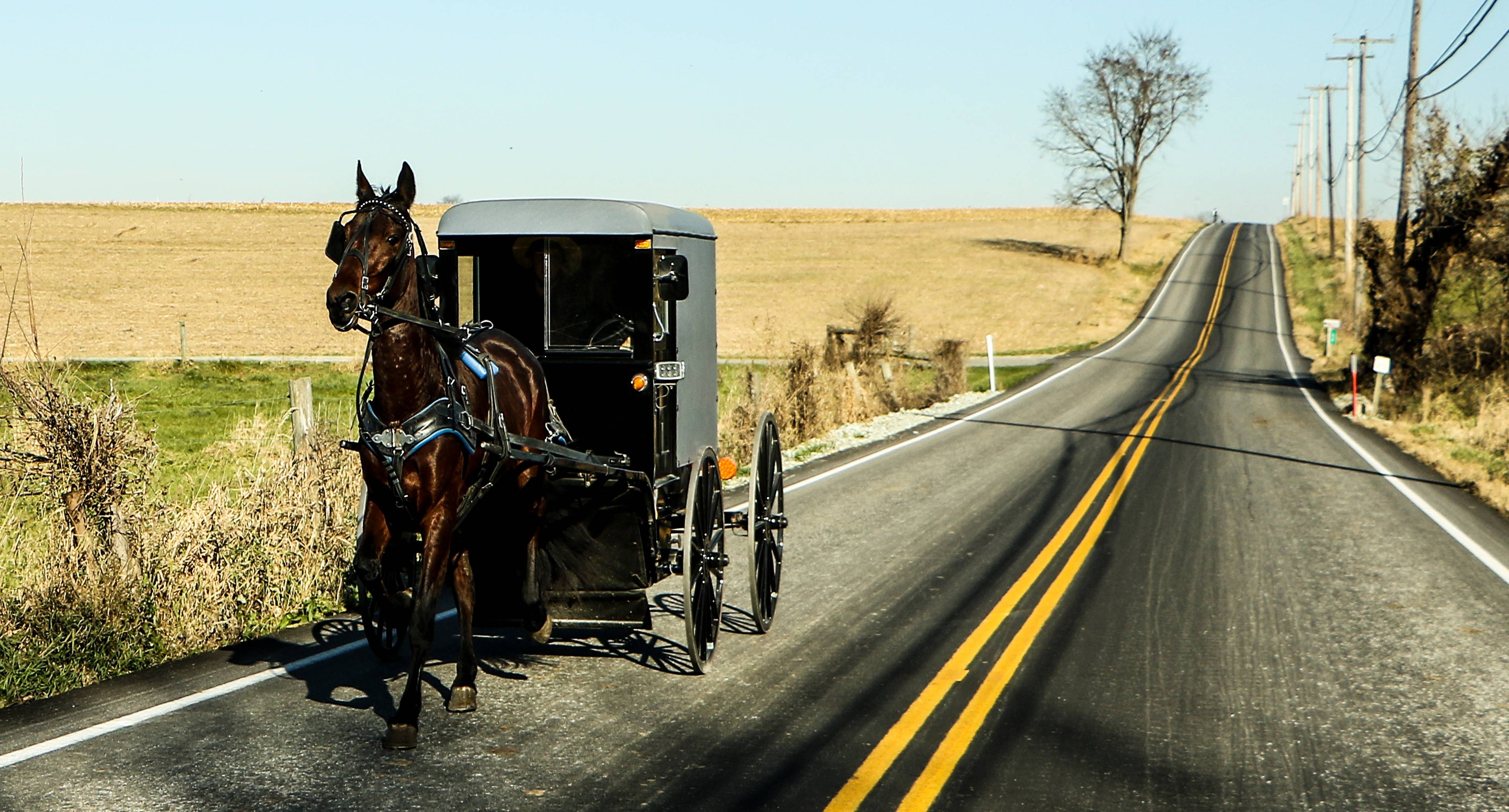 Experience the Simple Life at the Michigan-Indiana Border