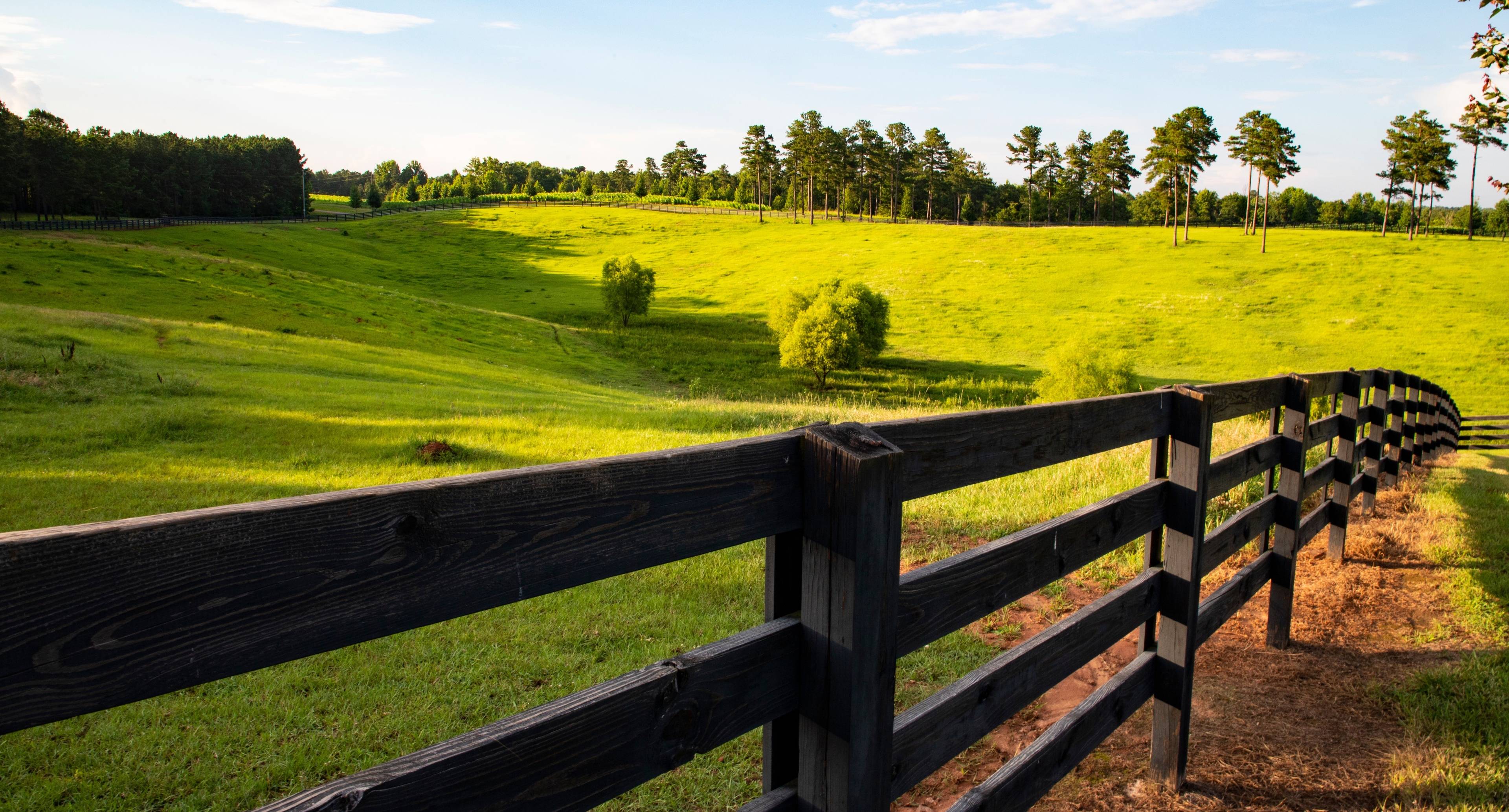 Explore Farms and Markets