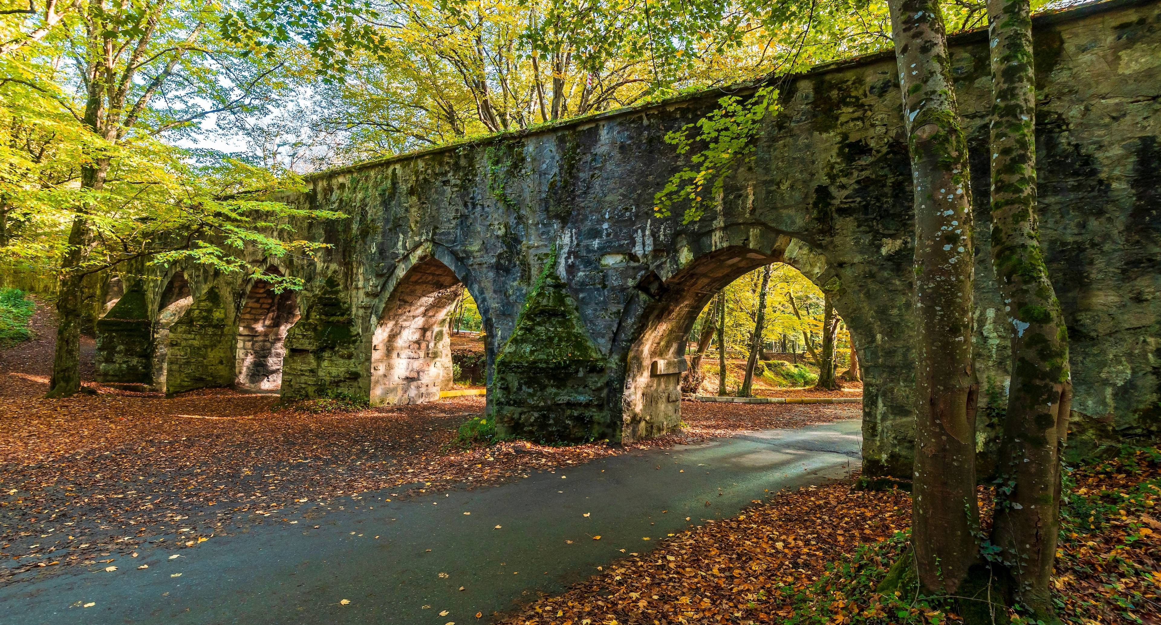 Discovering the Beautiful Belgrade Forest