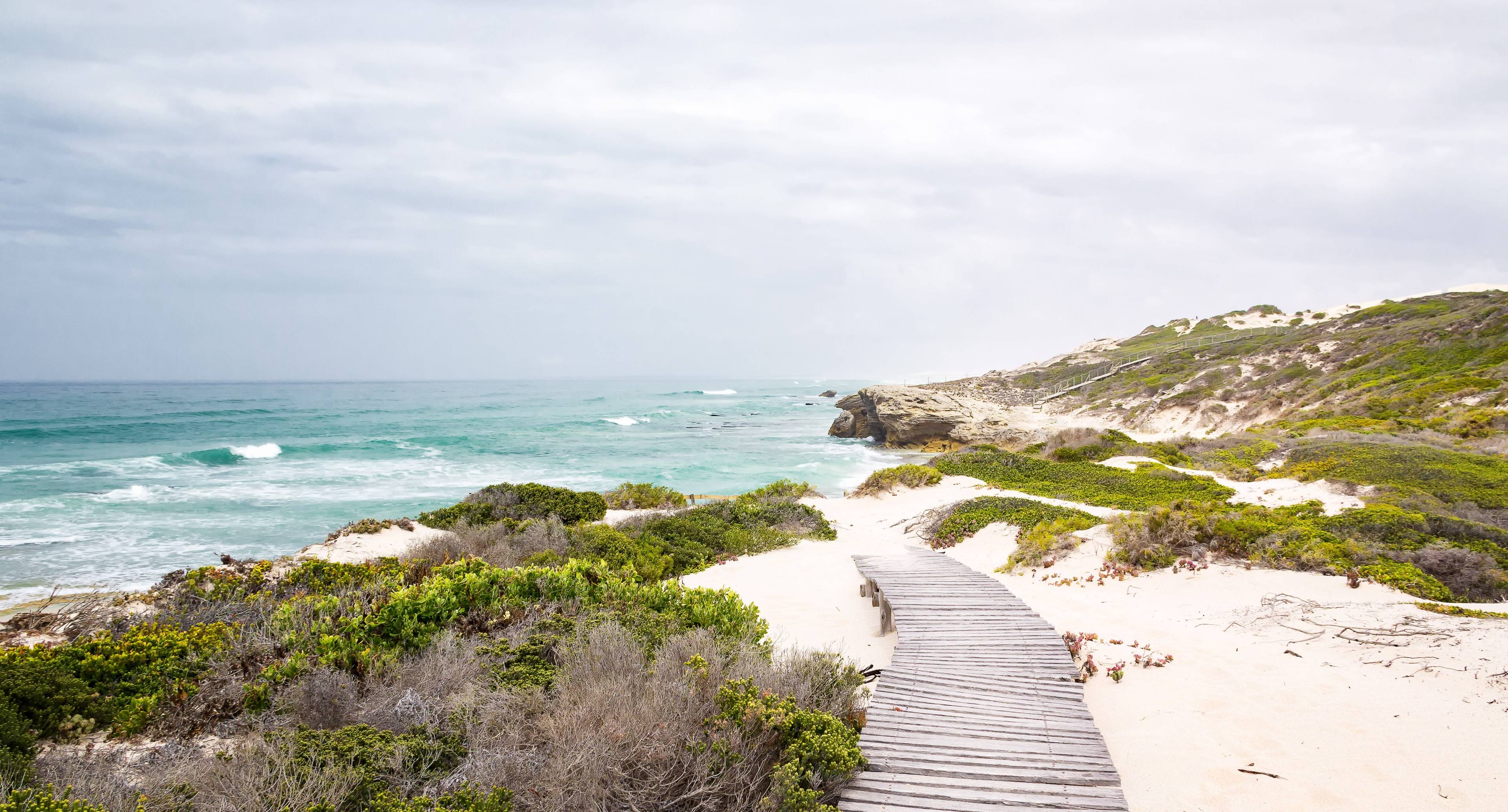 Ocean, Fynbos and Wildlife Safaris