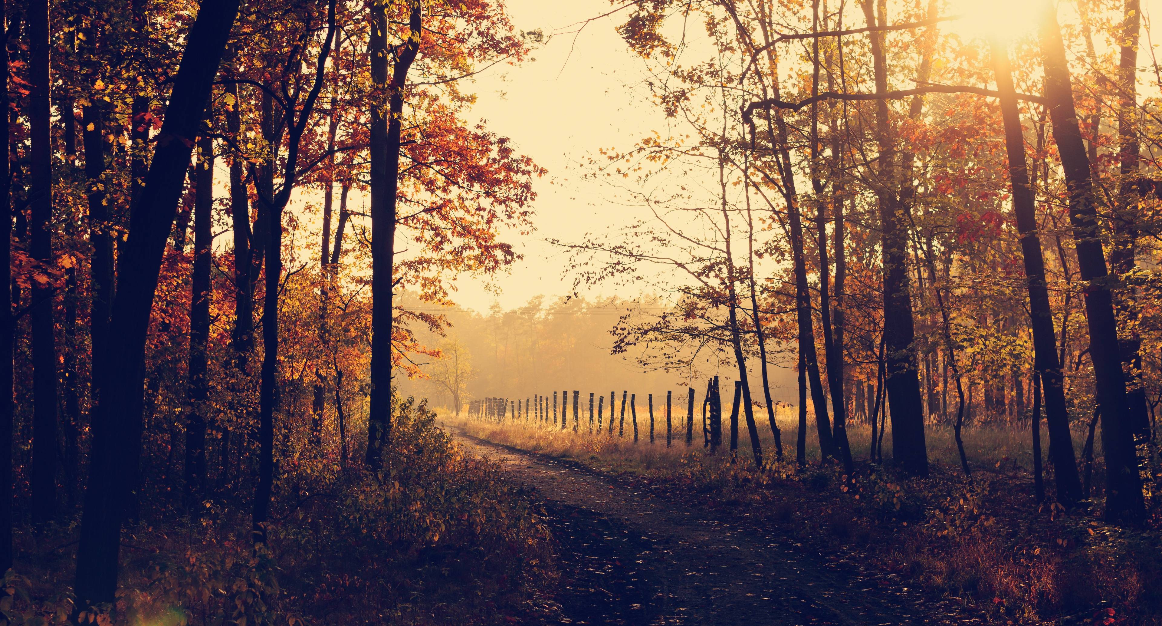 Trekking Through the Polish Countryside