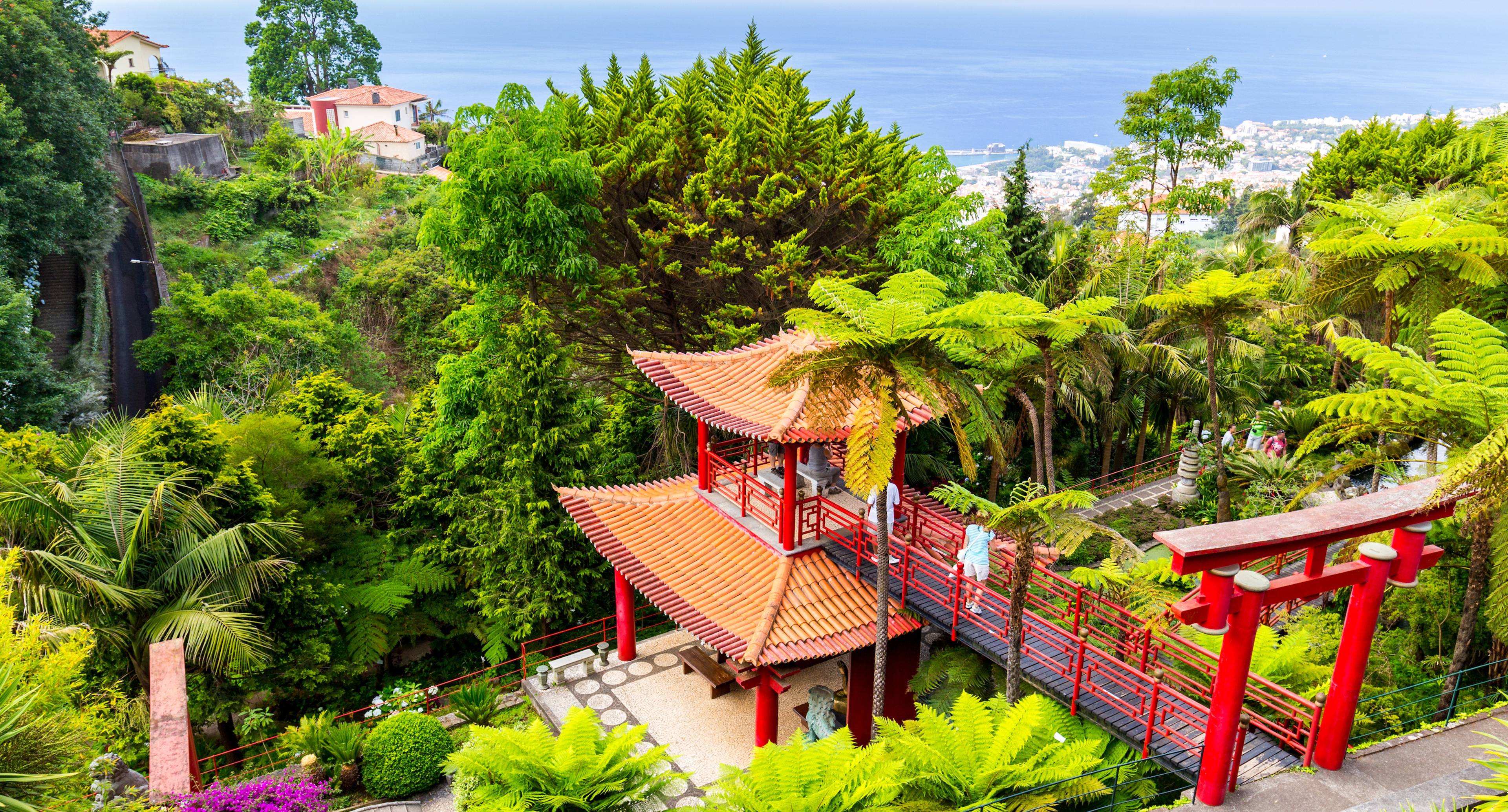 Experience the Surrounding of Funchal 