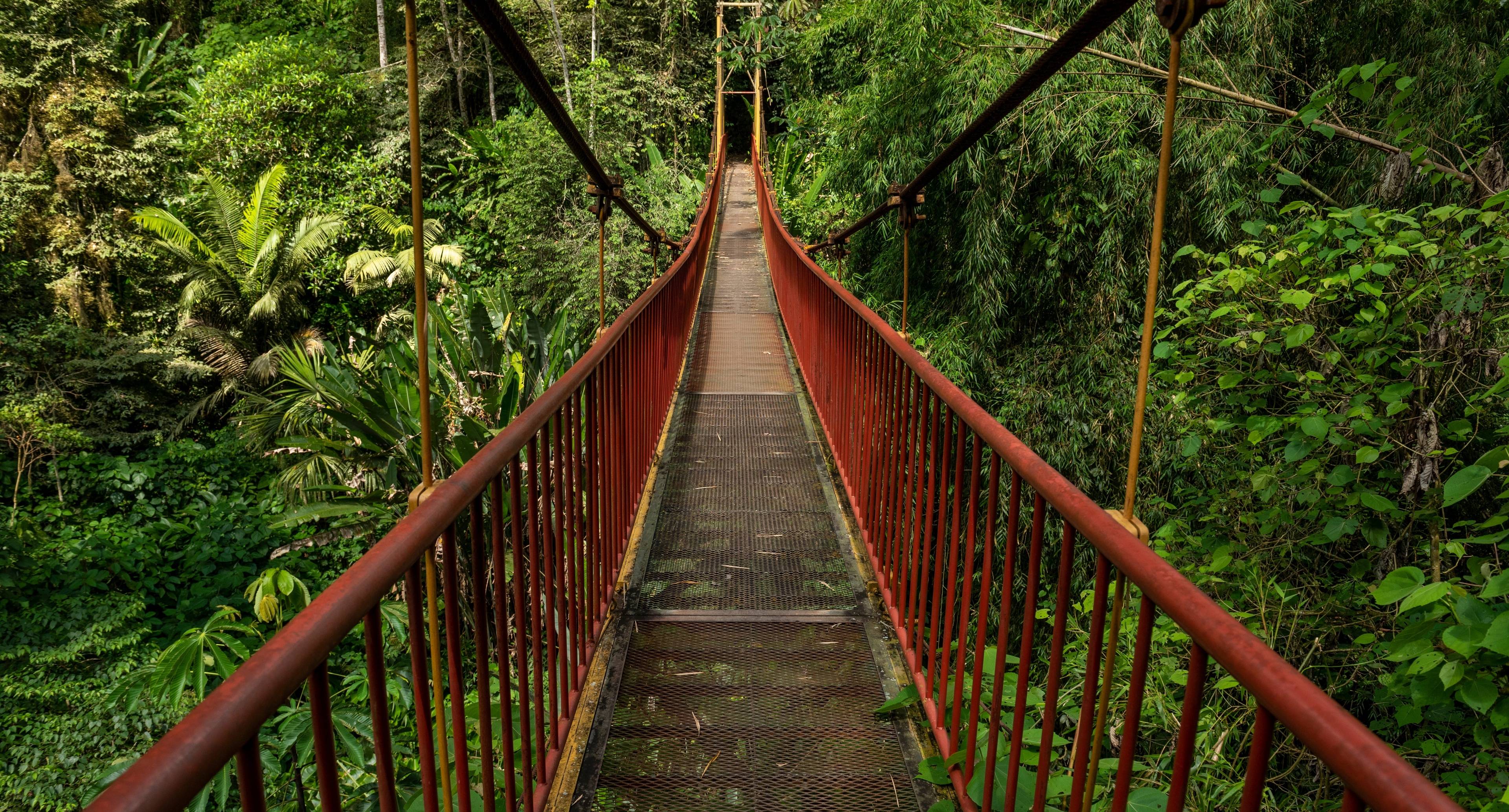 Coffee Villages and the Botanical Garden of Quindío