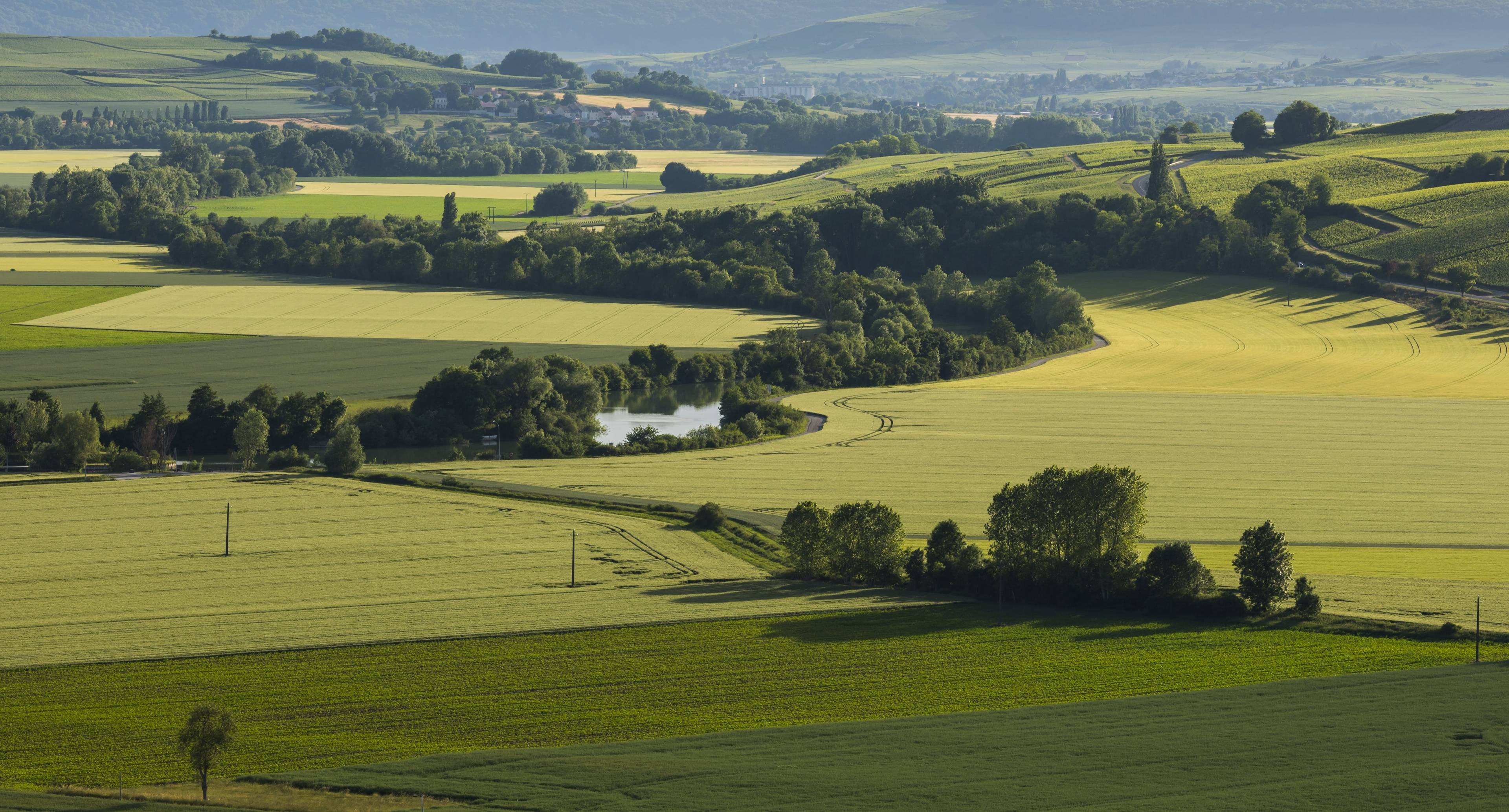 Traveling Around Rhine and Marne Regions