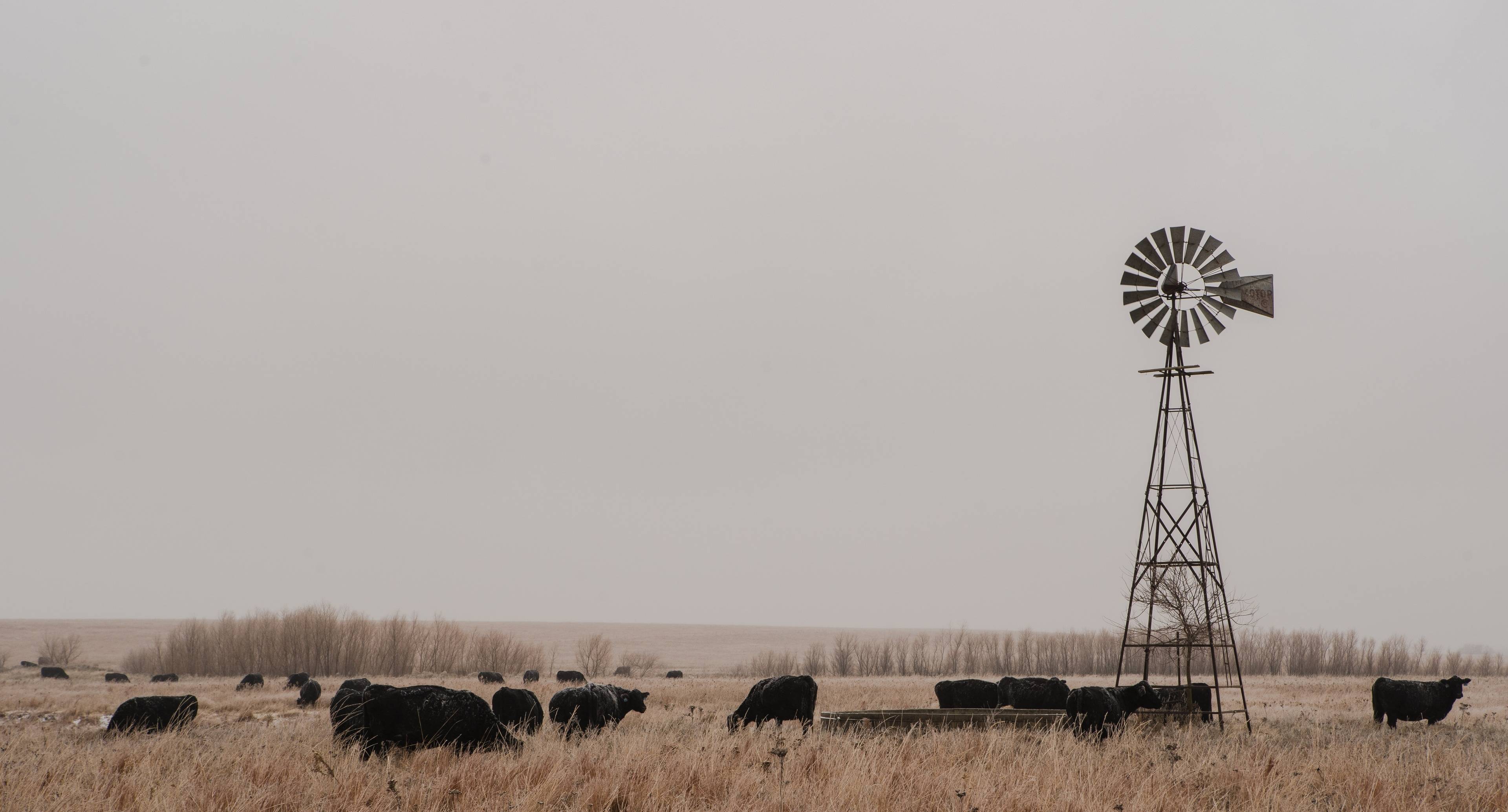 Buffalo Bill and the Wild West 