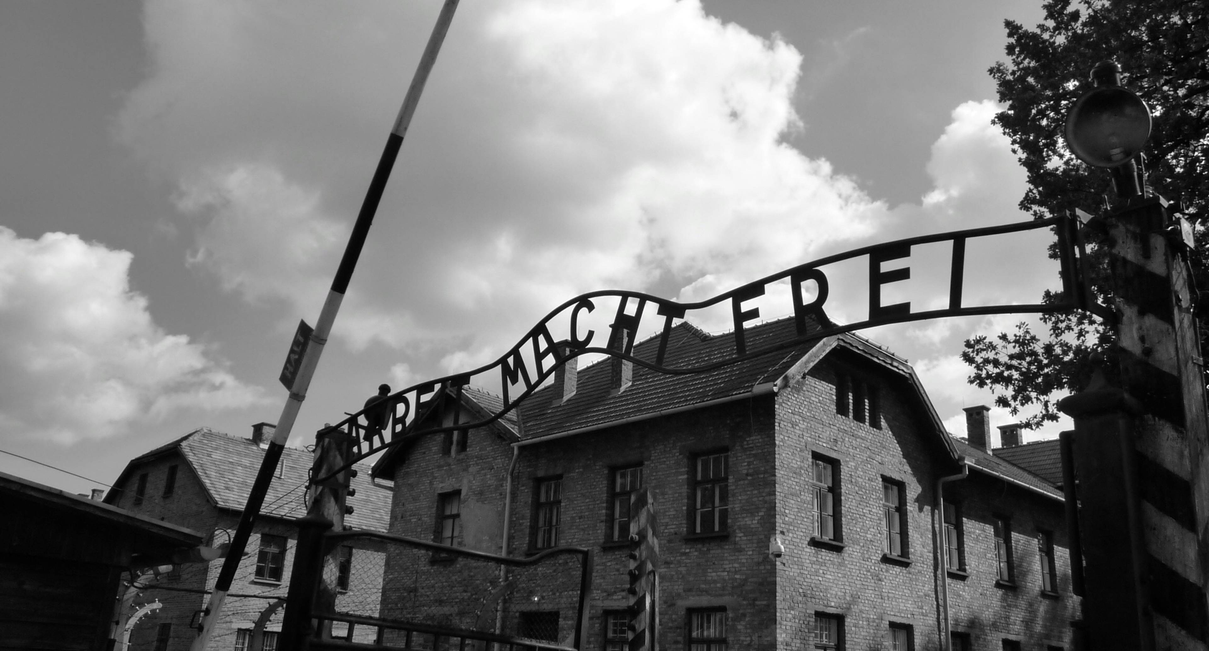 A Day of Deep Reflection at Auschwitz and Then Discovering Katowice