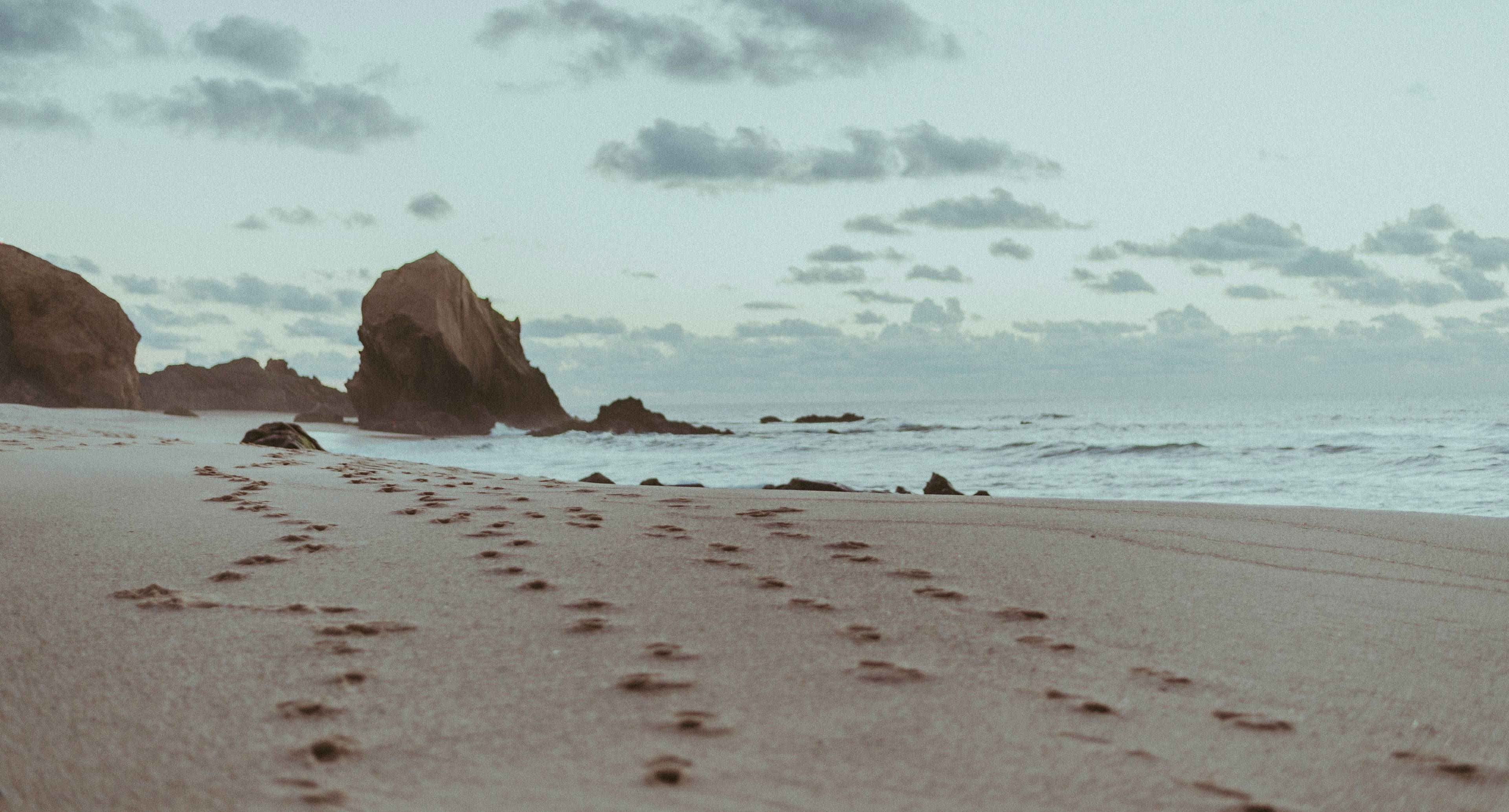 Walks in the open ocean