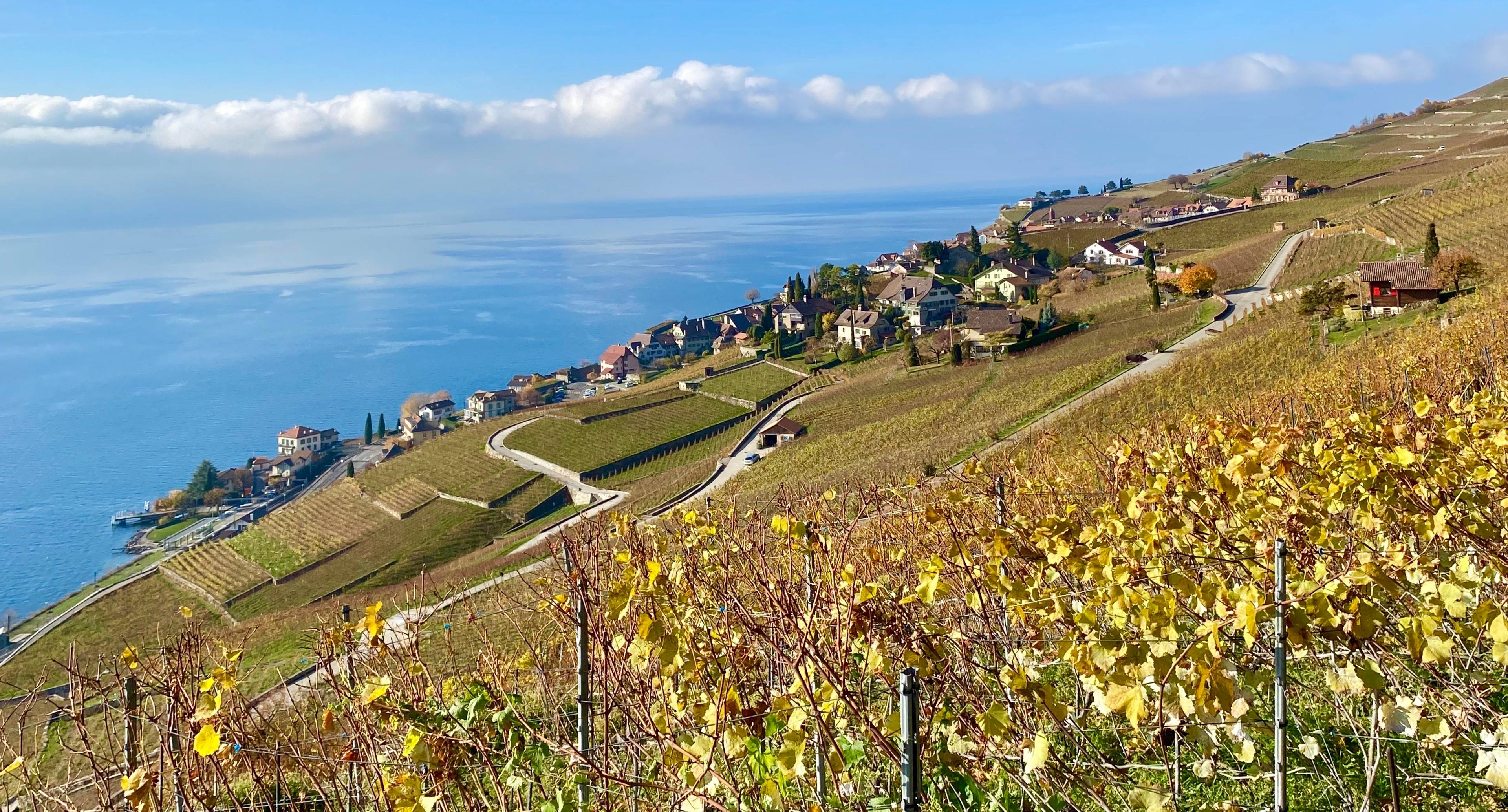 The Most Beautiful Views of Lavaux Region from Visits and Restaurants