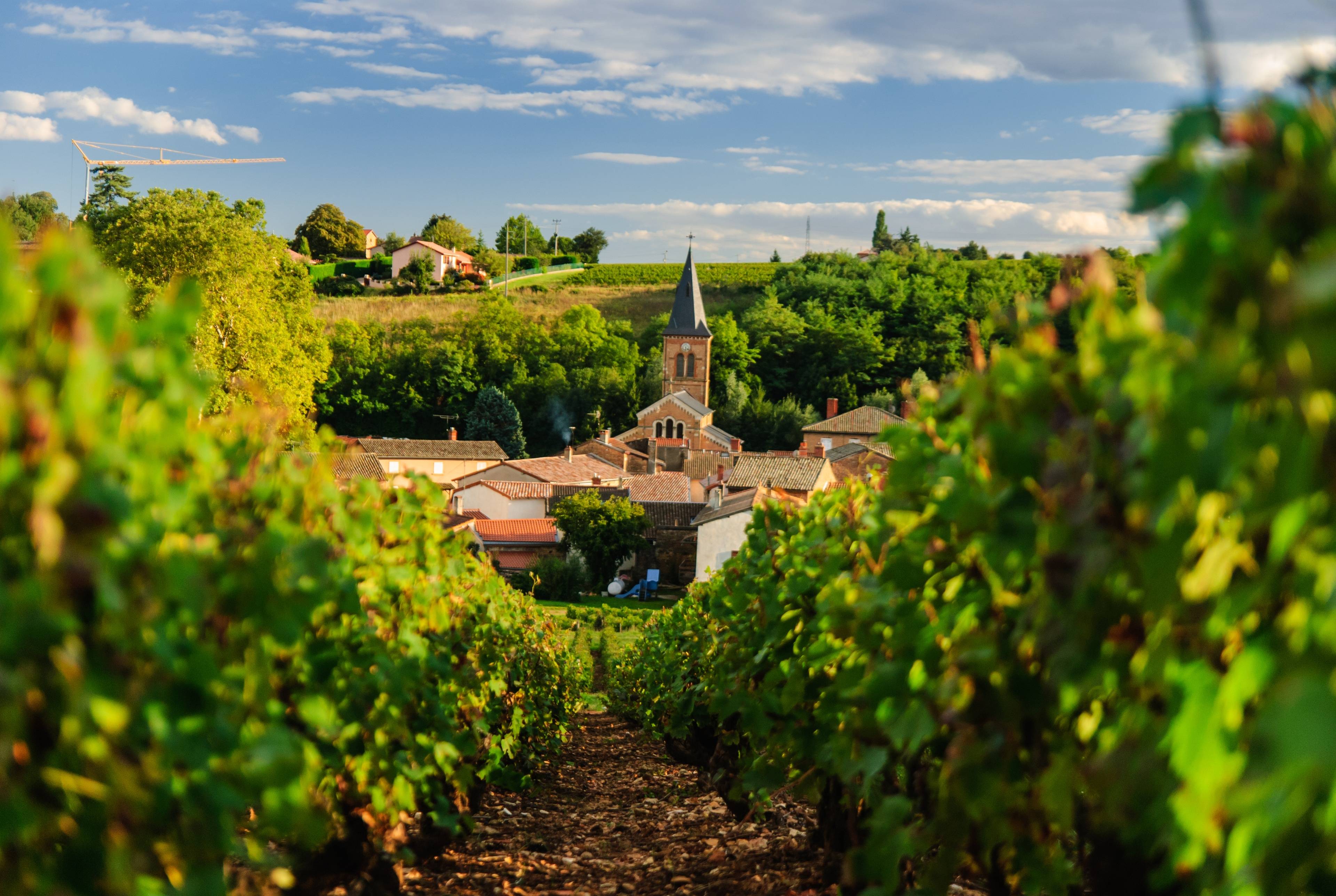 Road Trip to Lyon: A Spectacular Day Through the French Countryside