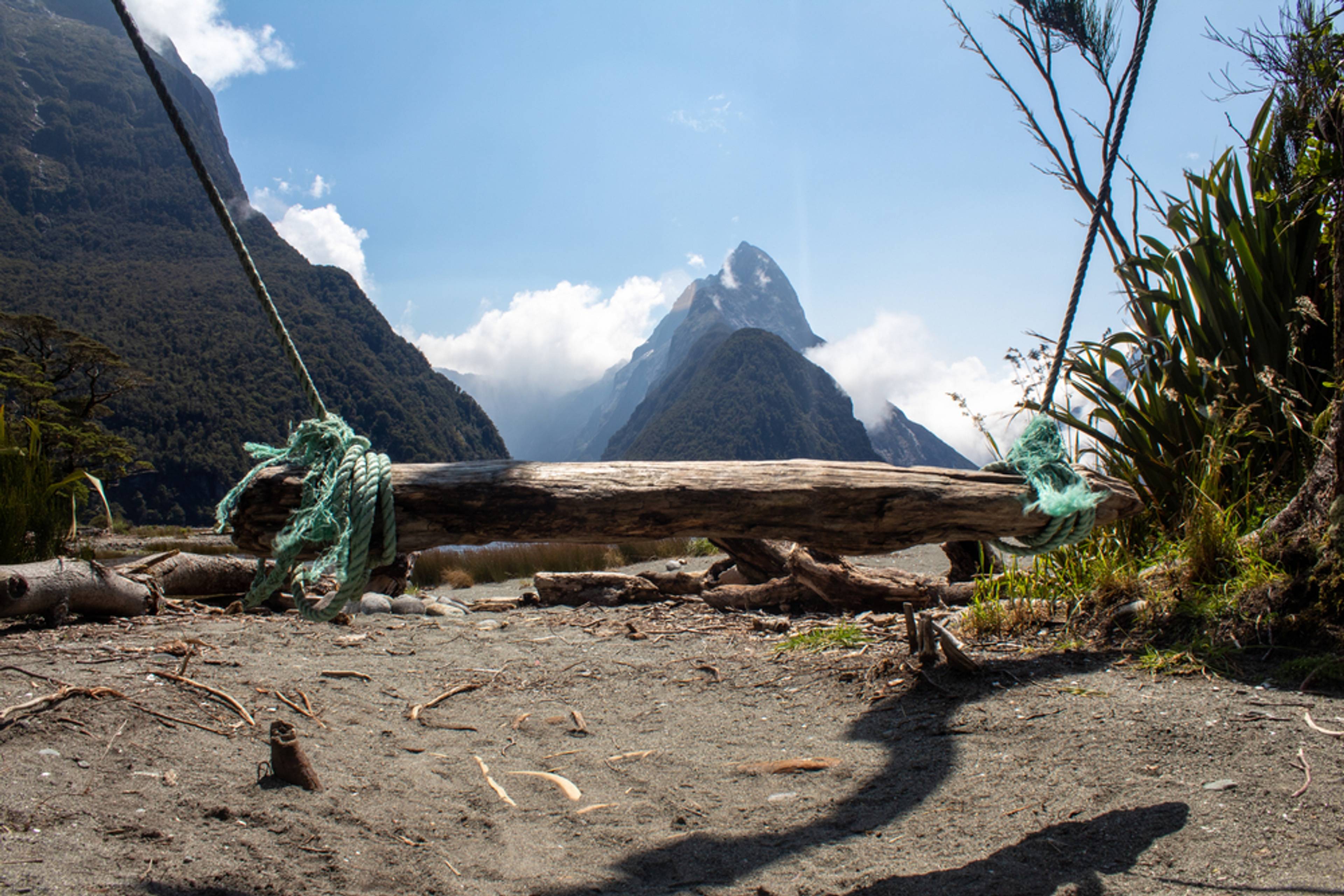 The Milford Sound Swing