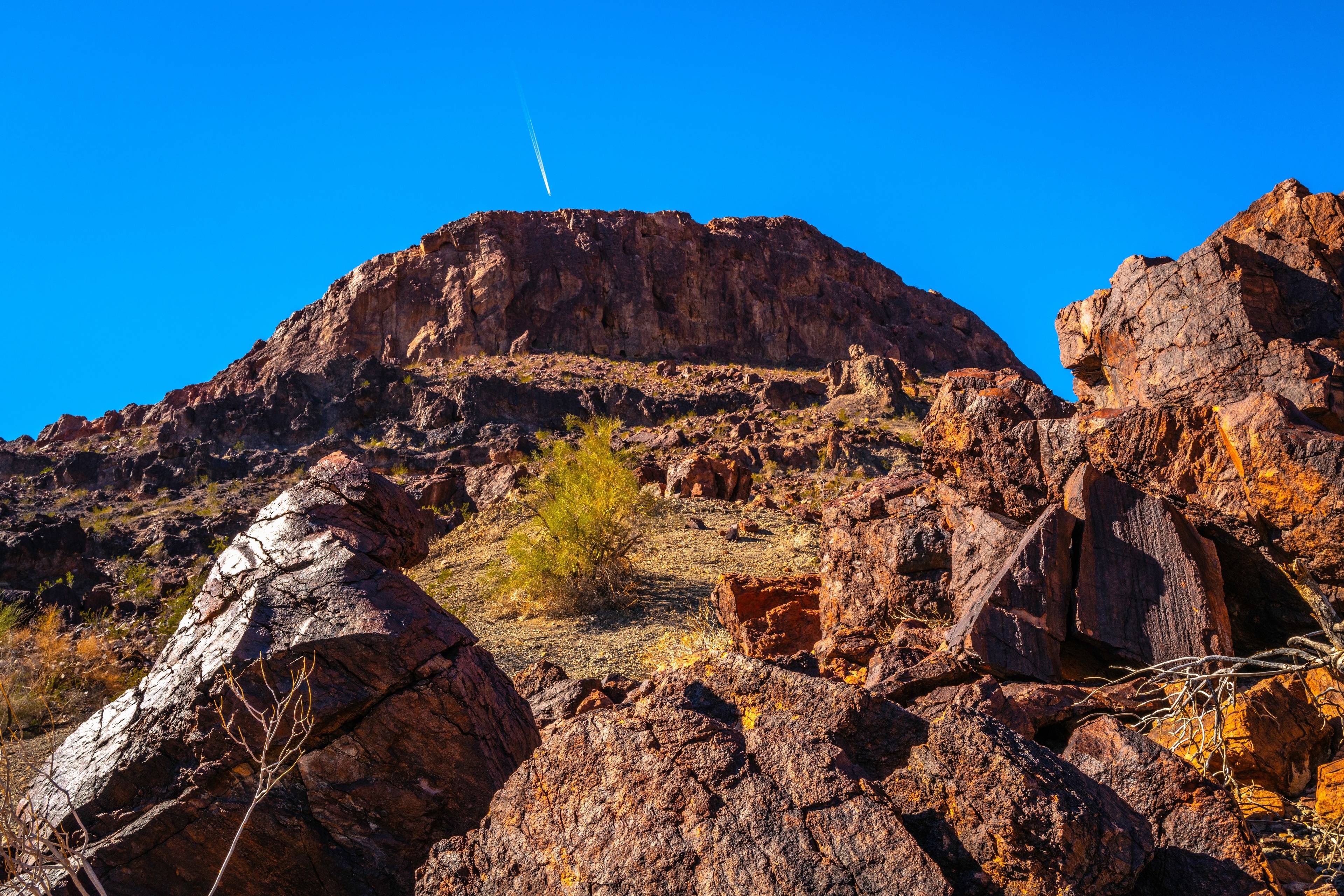 Sara Park Trail Head