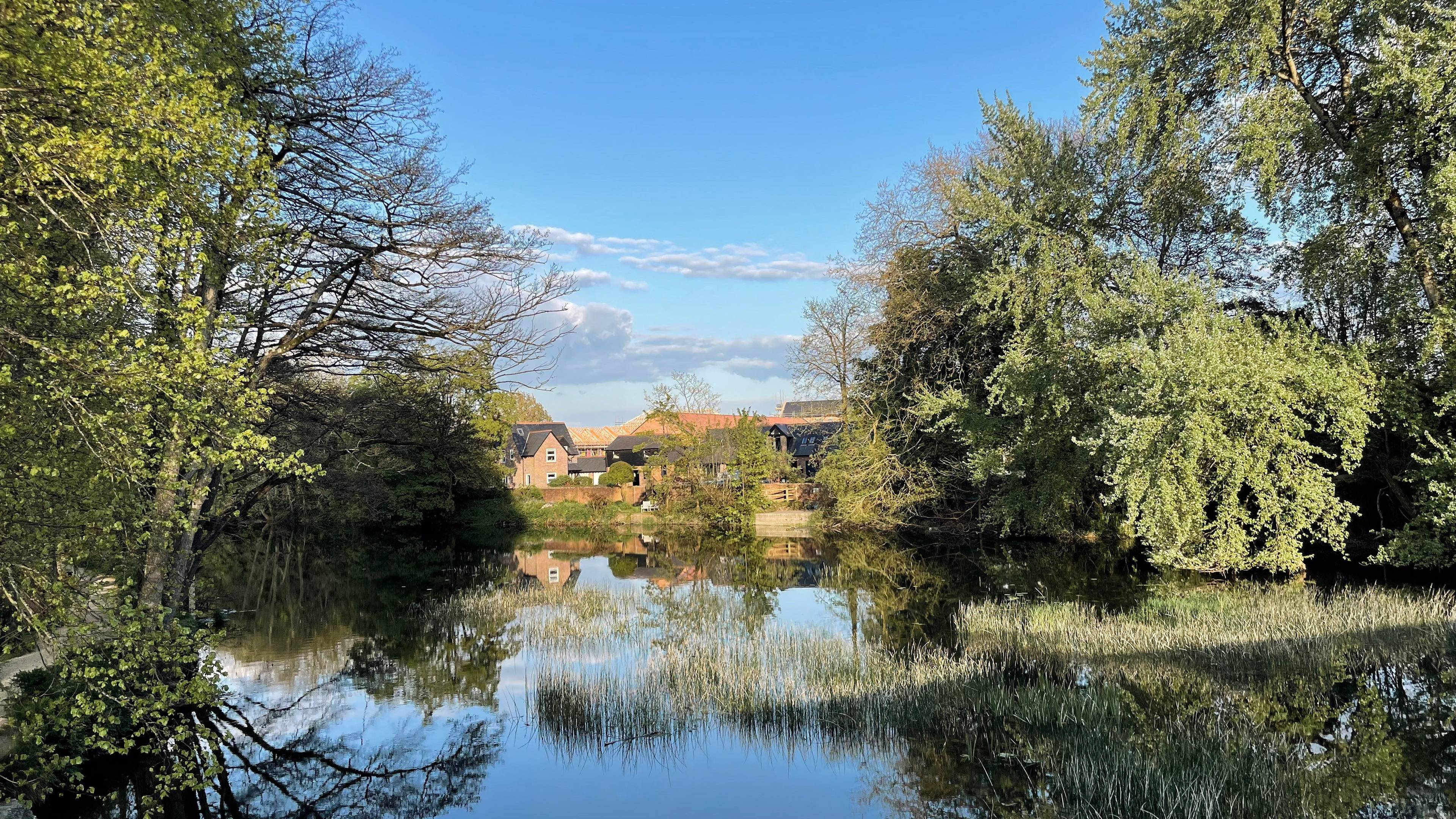 Stour Meadows Park