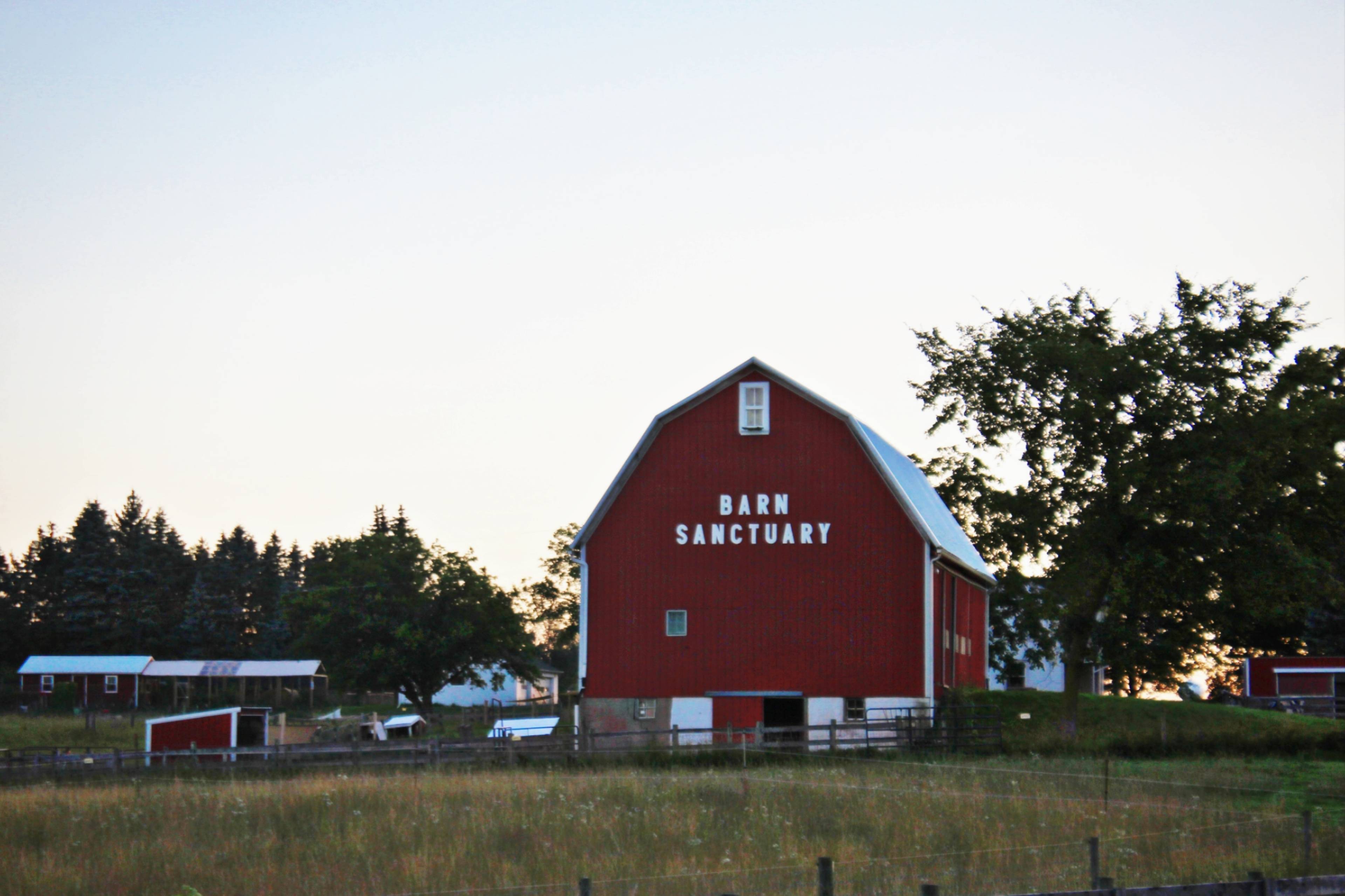 Barn Sanctuary