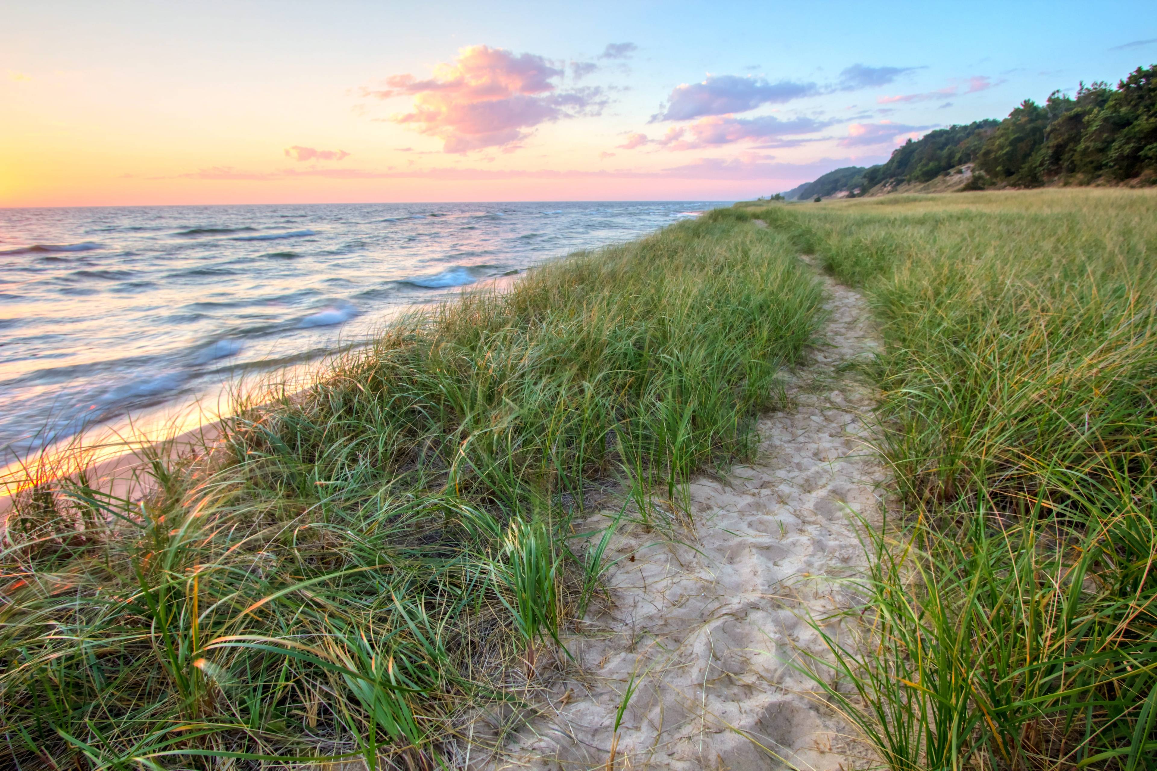 Amsterdam Dunes Preservation Area