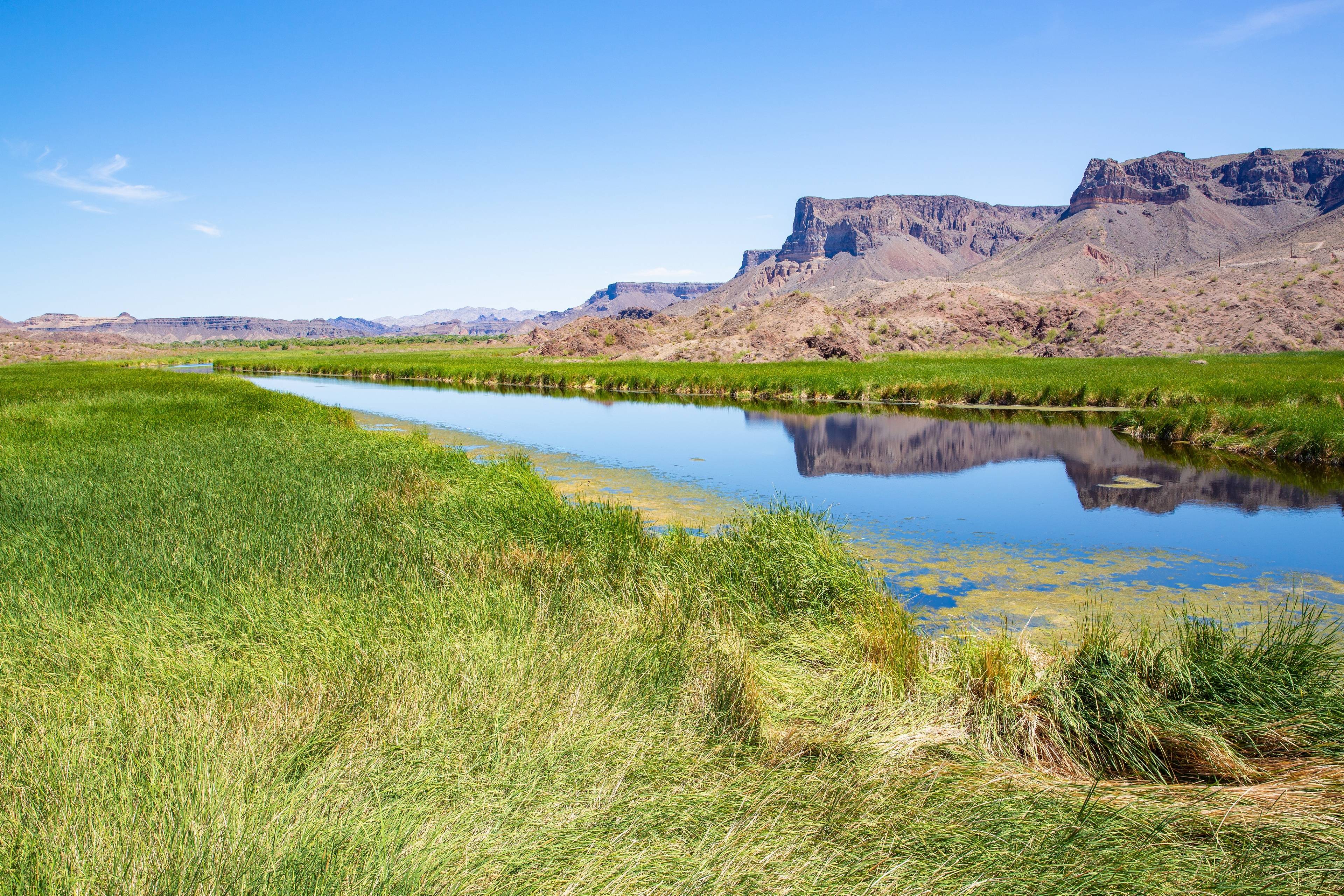 Bill Williams River National Wildlife Refuge