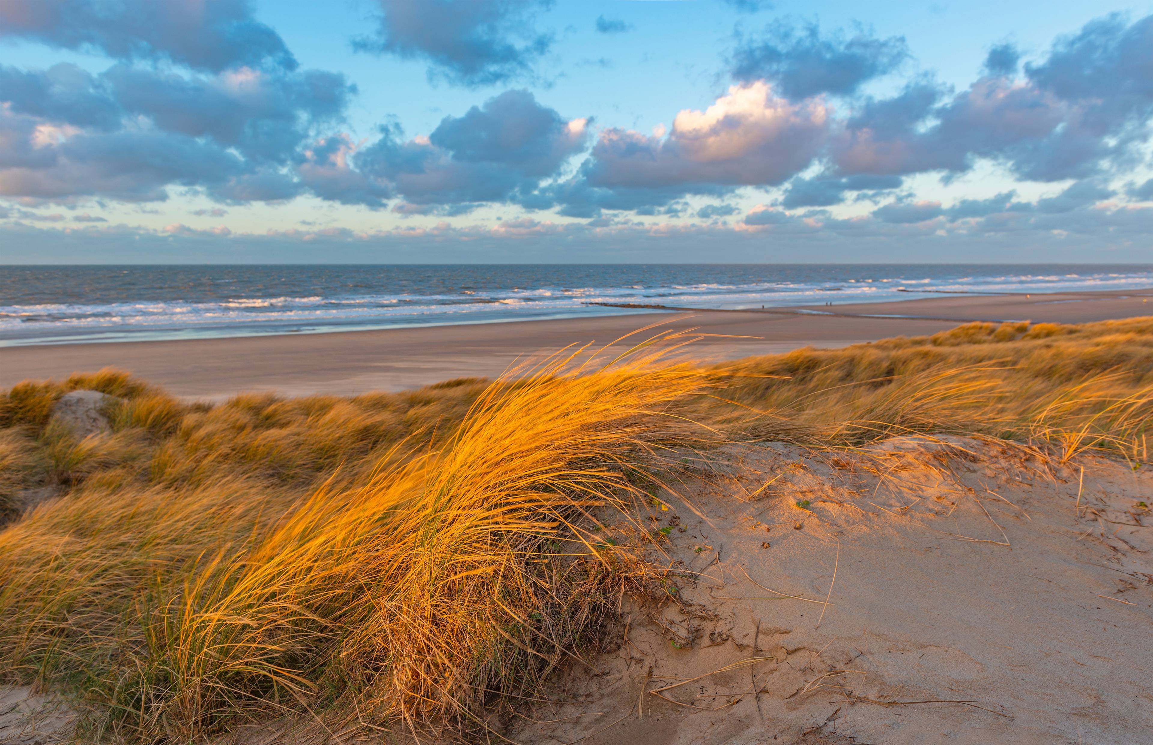 Strand Oostende