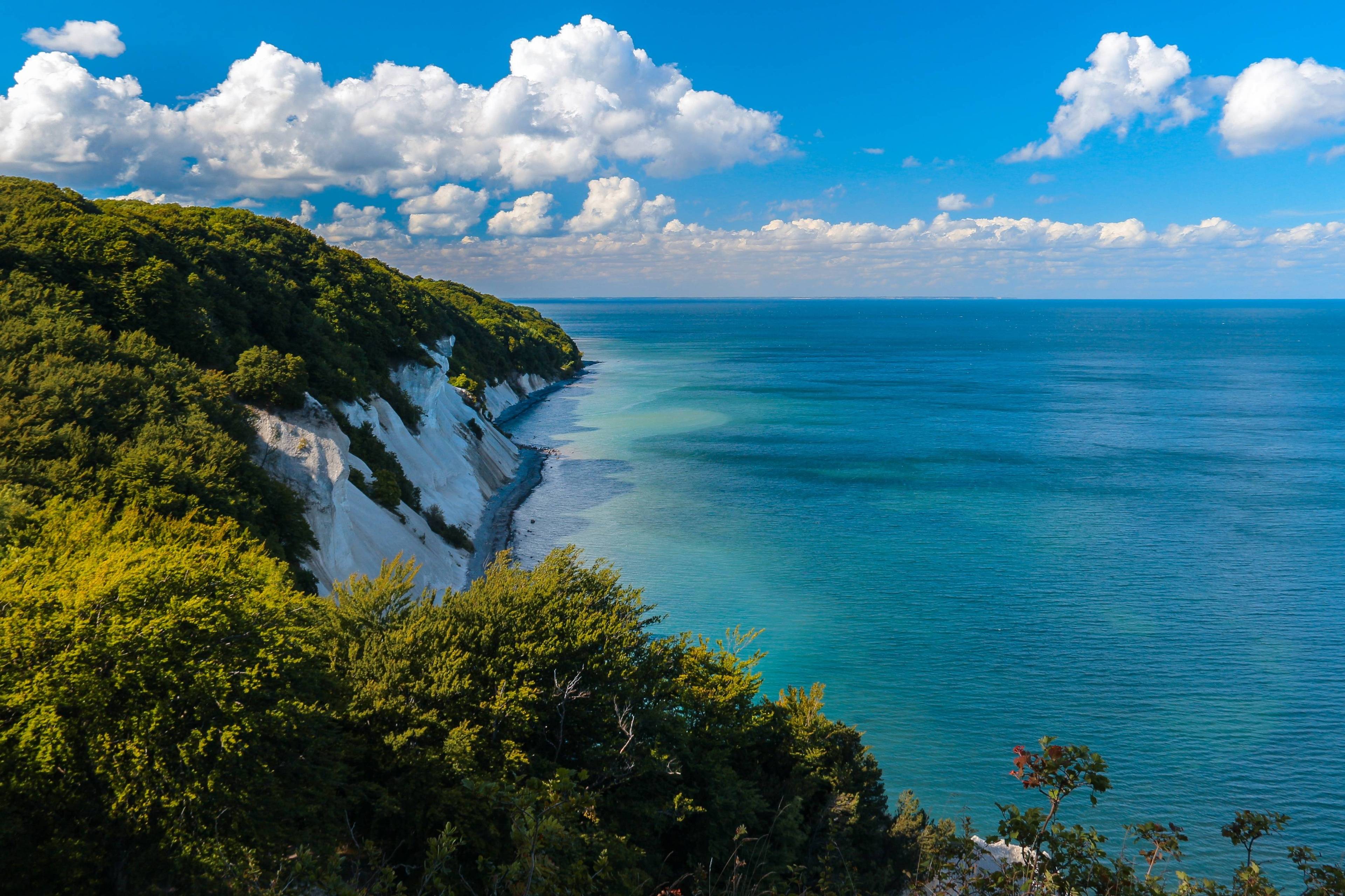 Trail to Møns Klint