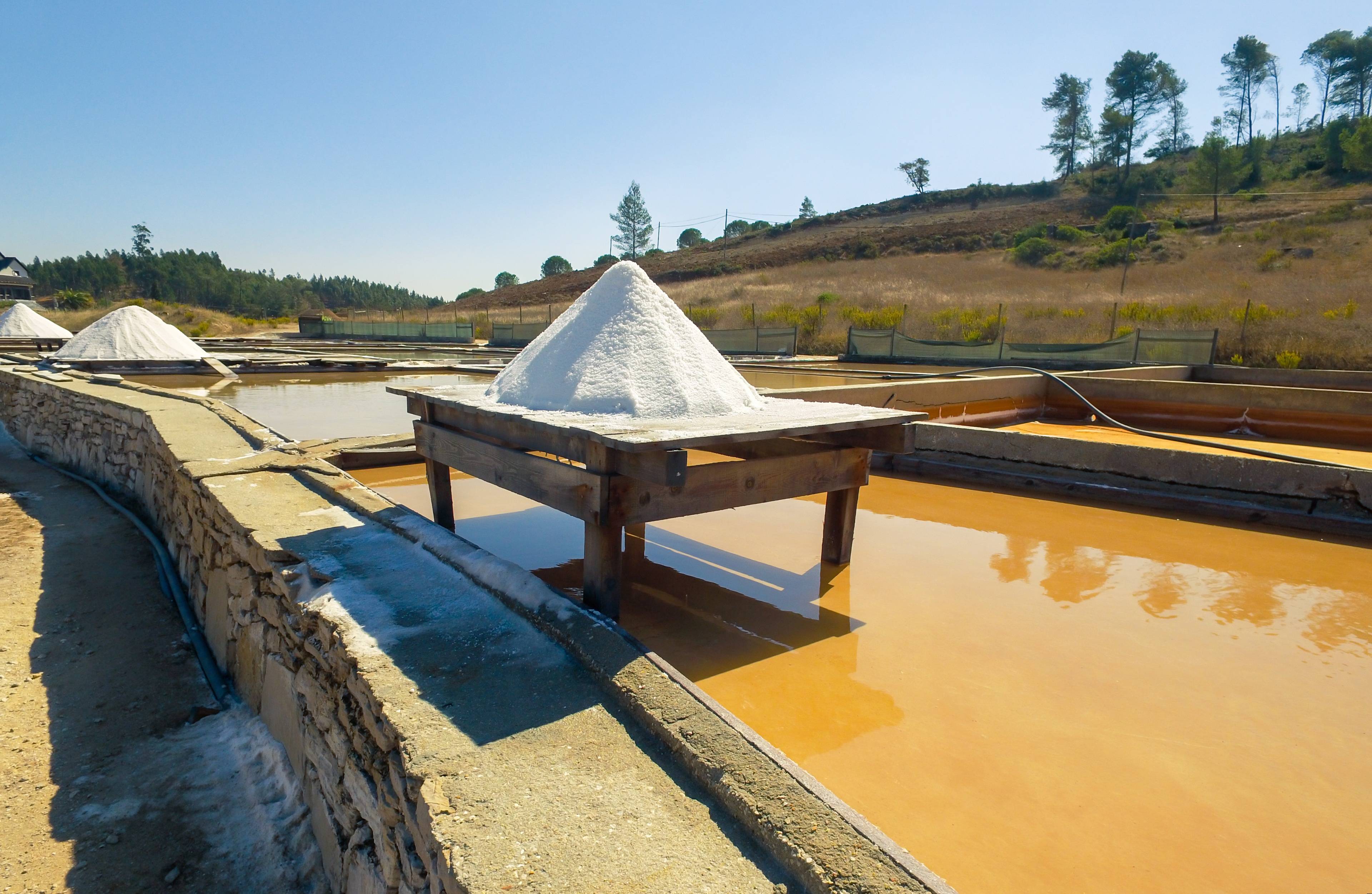 Salinas de Rio Maior