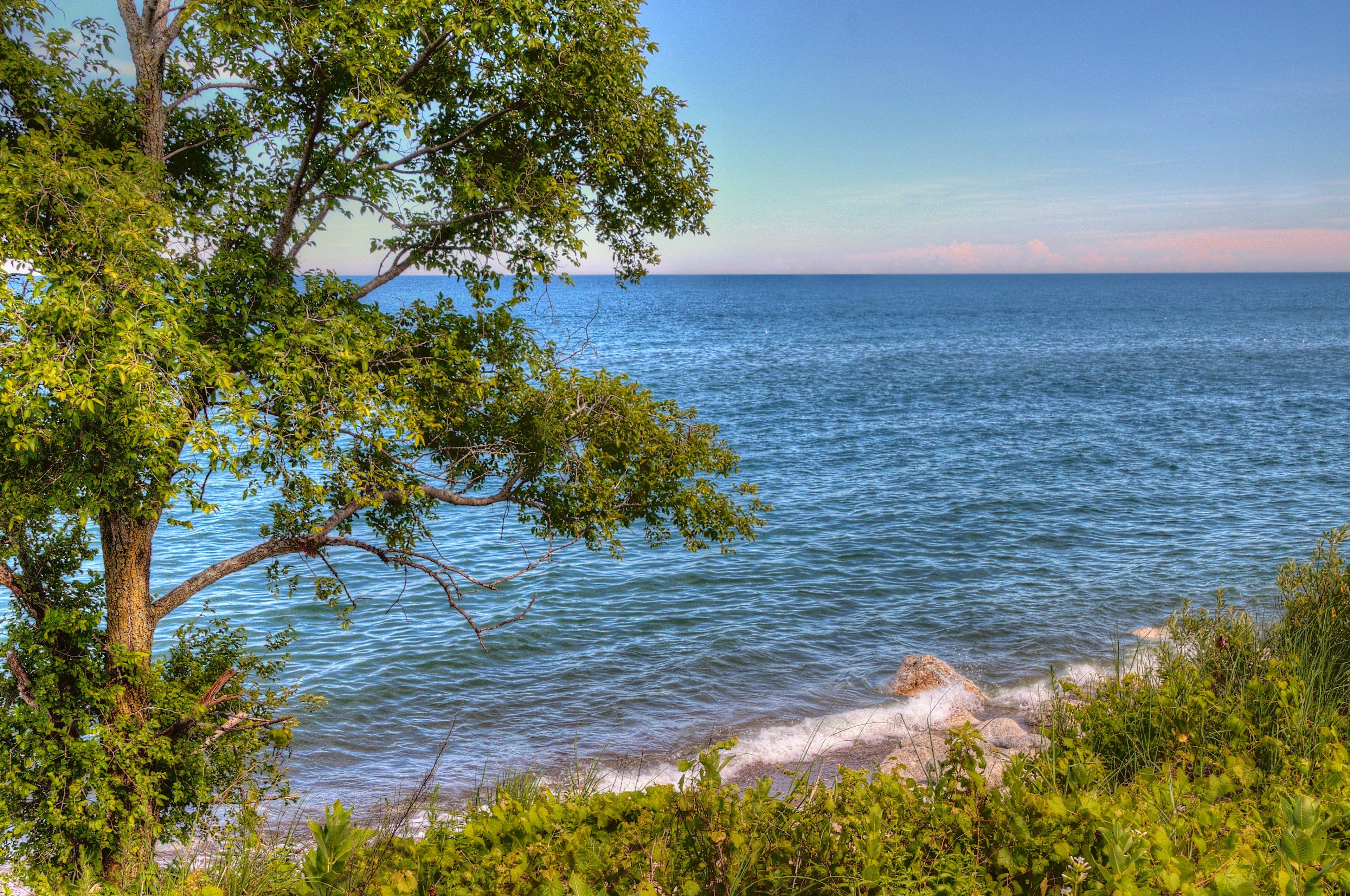 Illinois Beach State Park