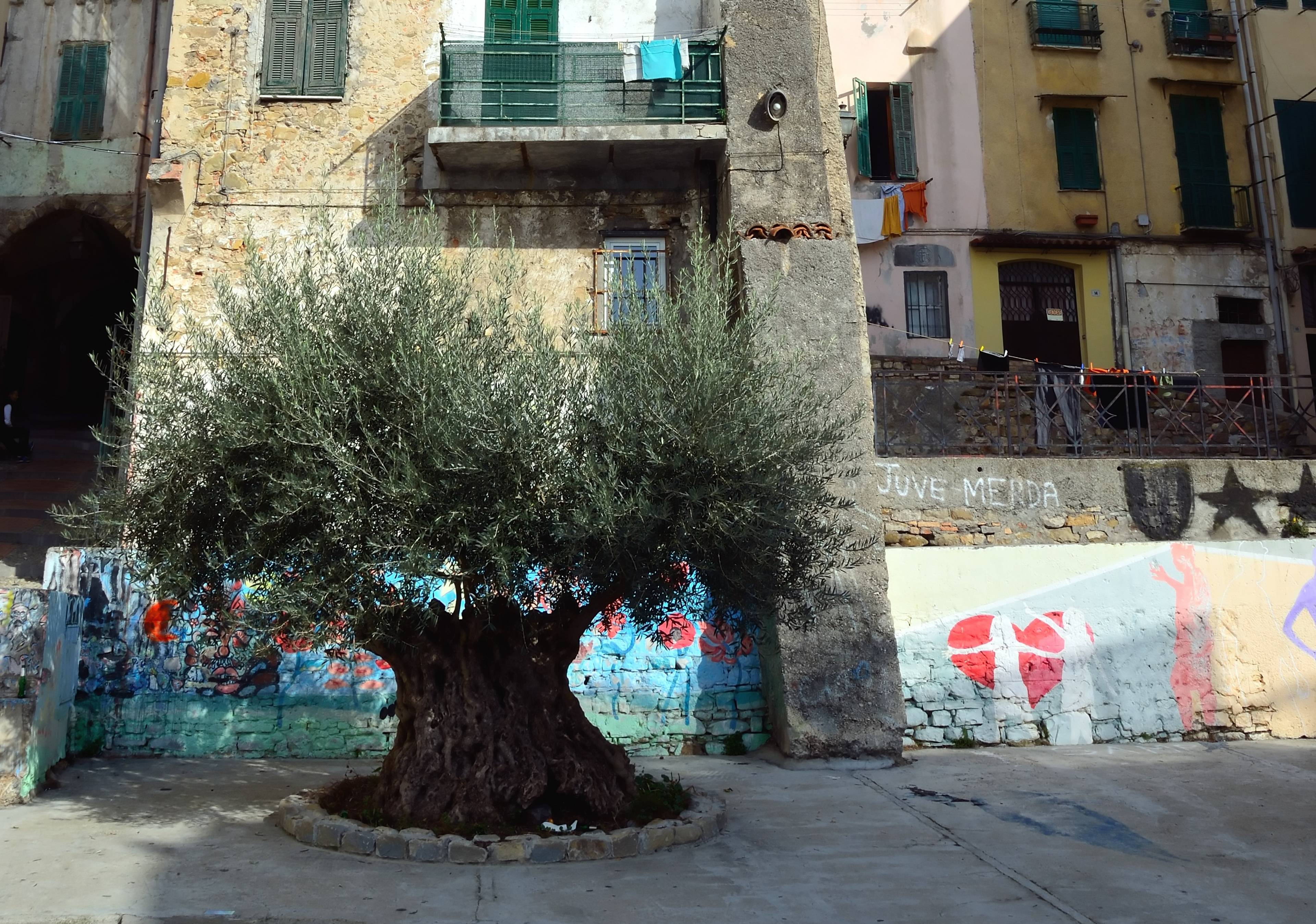 La Pigna di Sanremo