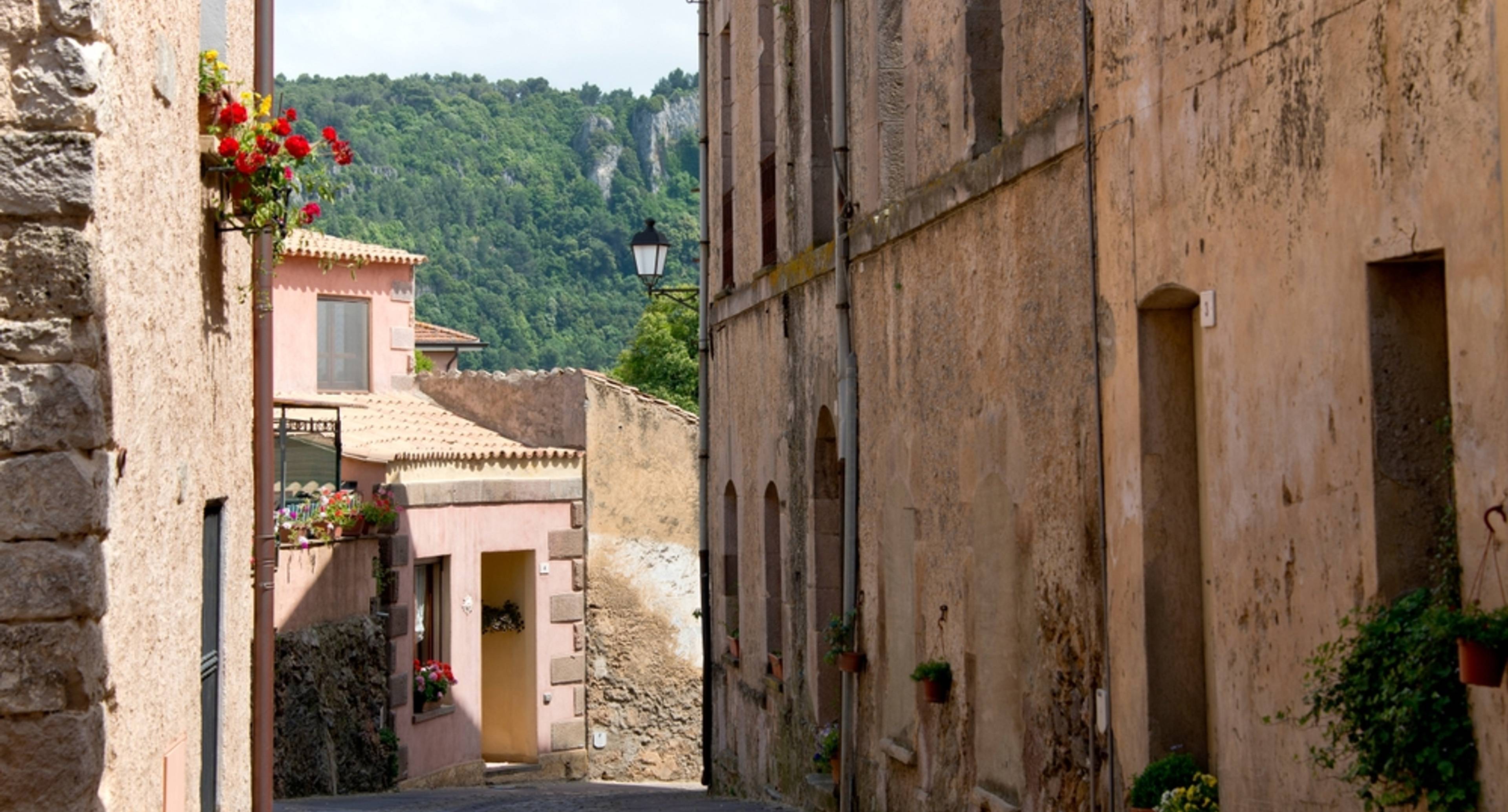 Menhirs and Mandrolisai Wine