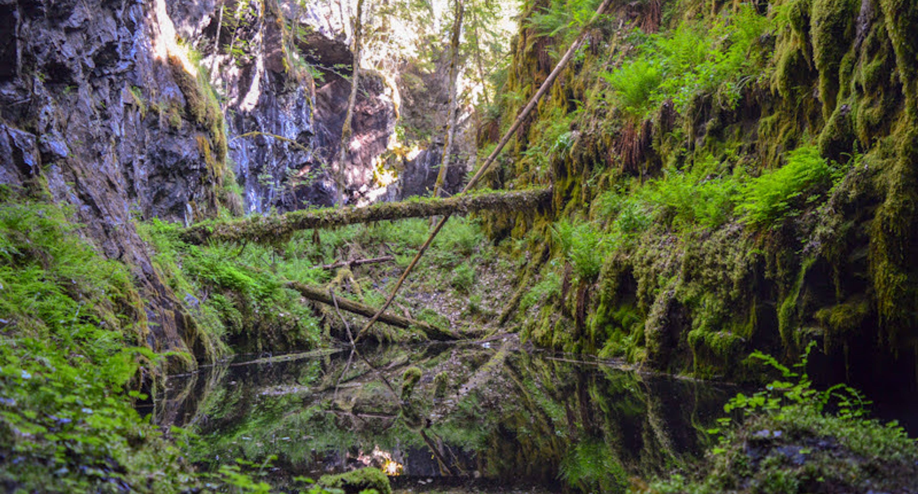 Visit Boulognerskogen Forest & Overgrown Abandoned Mine