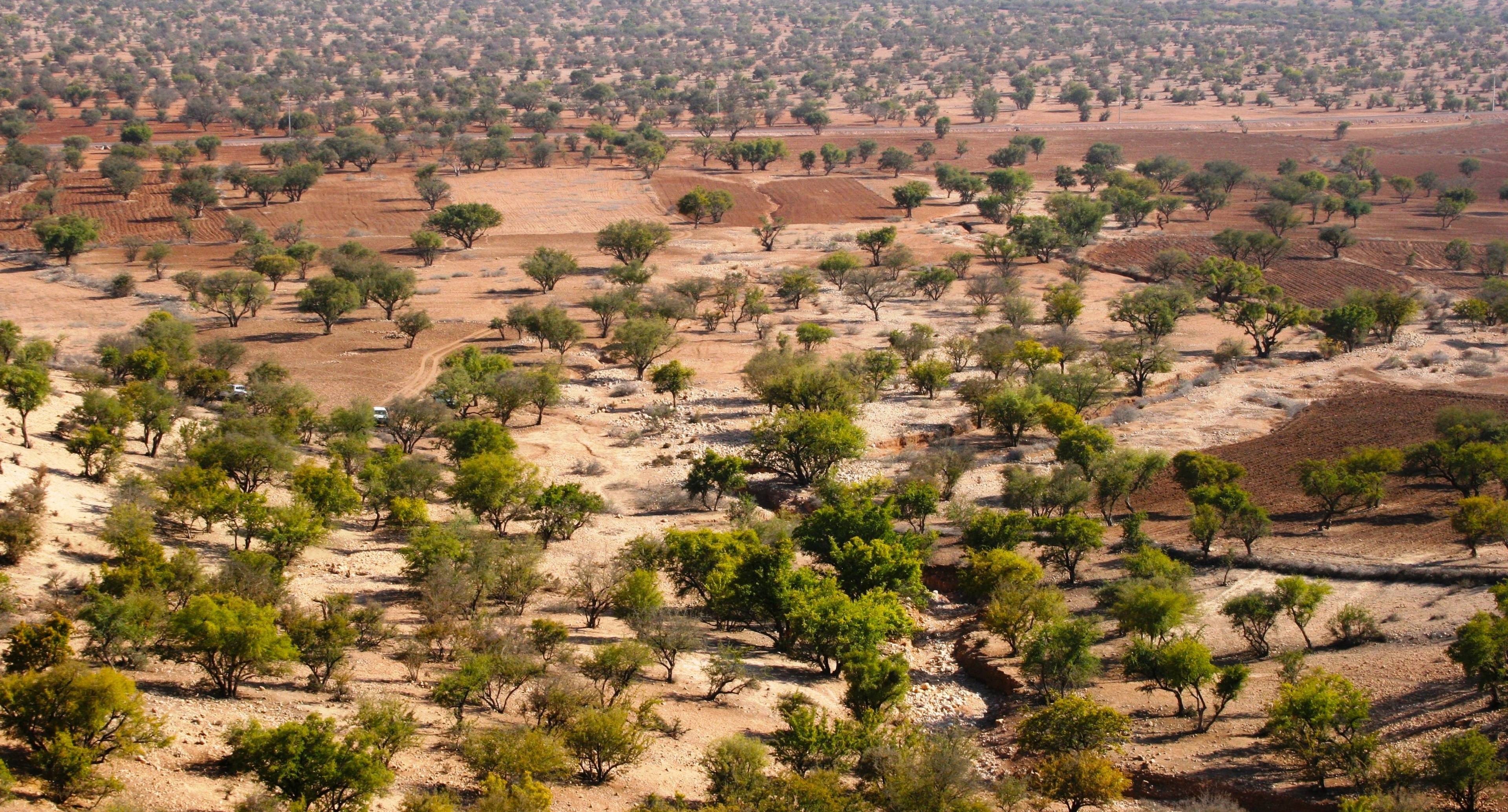 Road Trip in the Moroccan Countryside