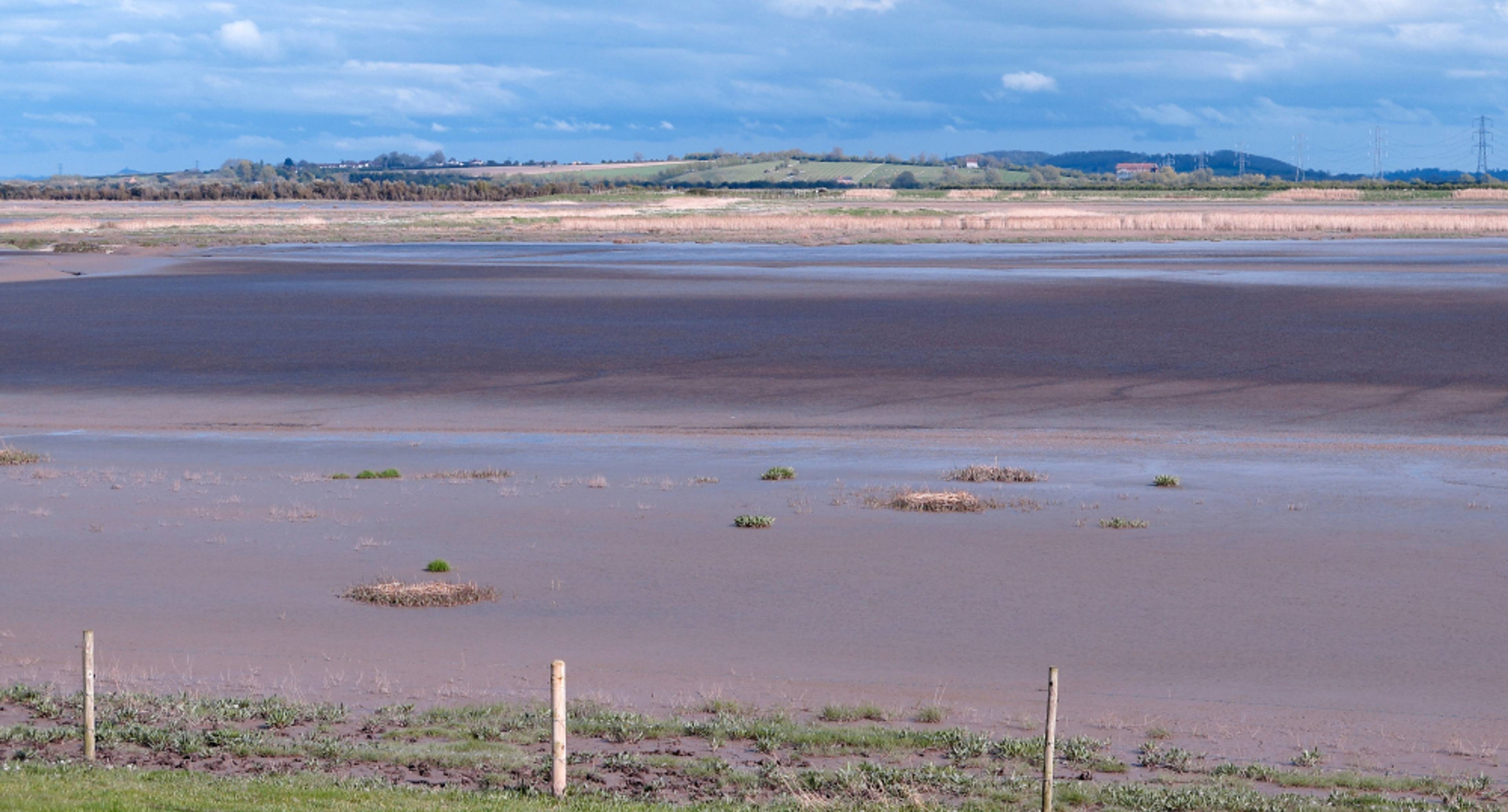 Wetland Marshes, Rocky Beaches and Fossil Hunting