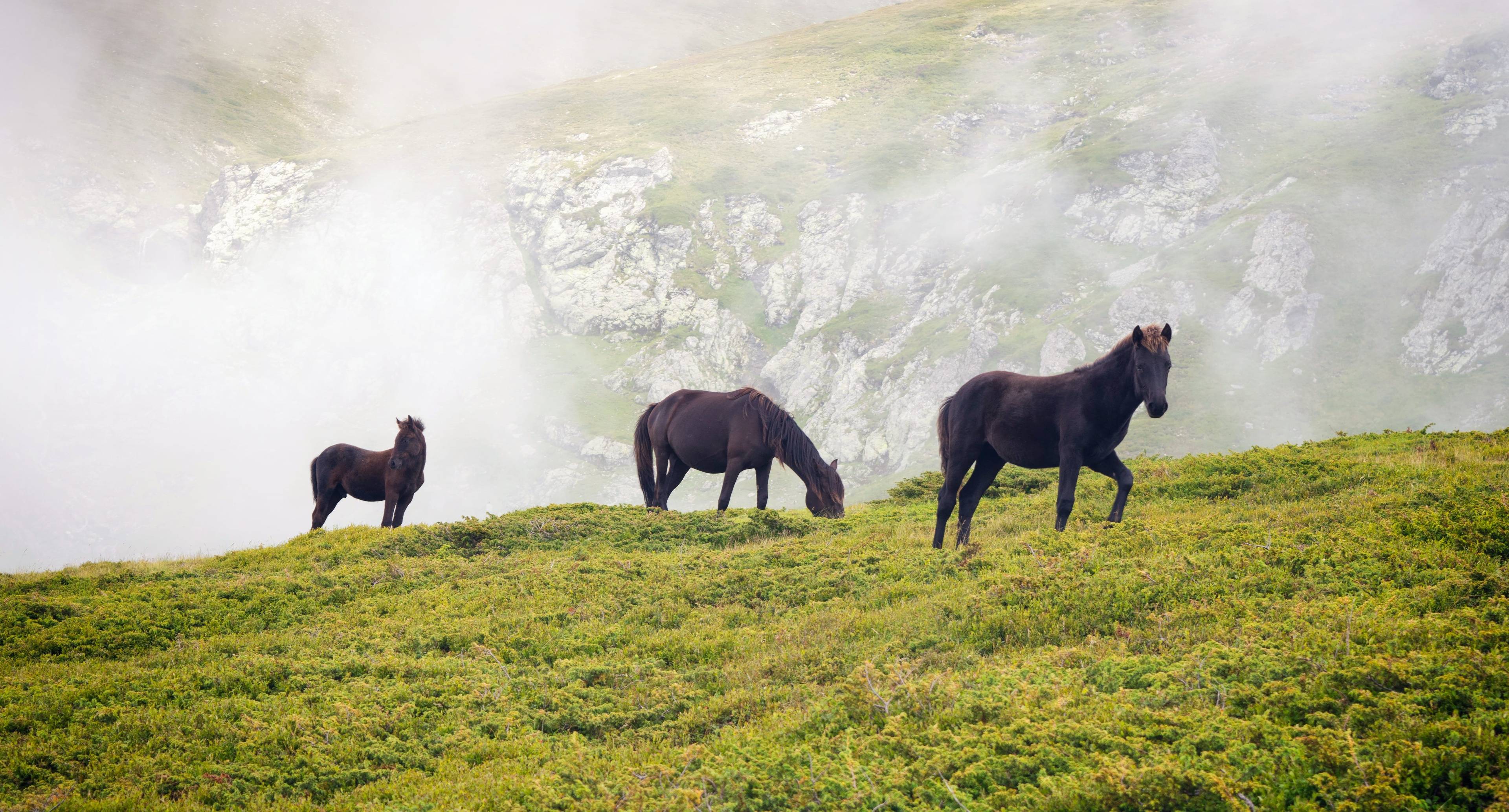 Exploring the Beauty and Nature of Central Balkan