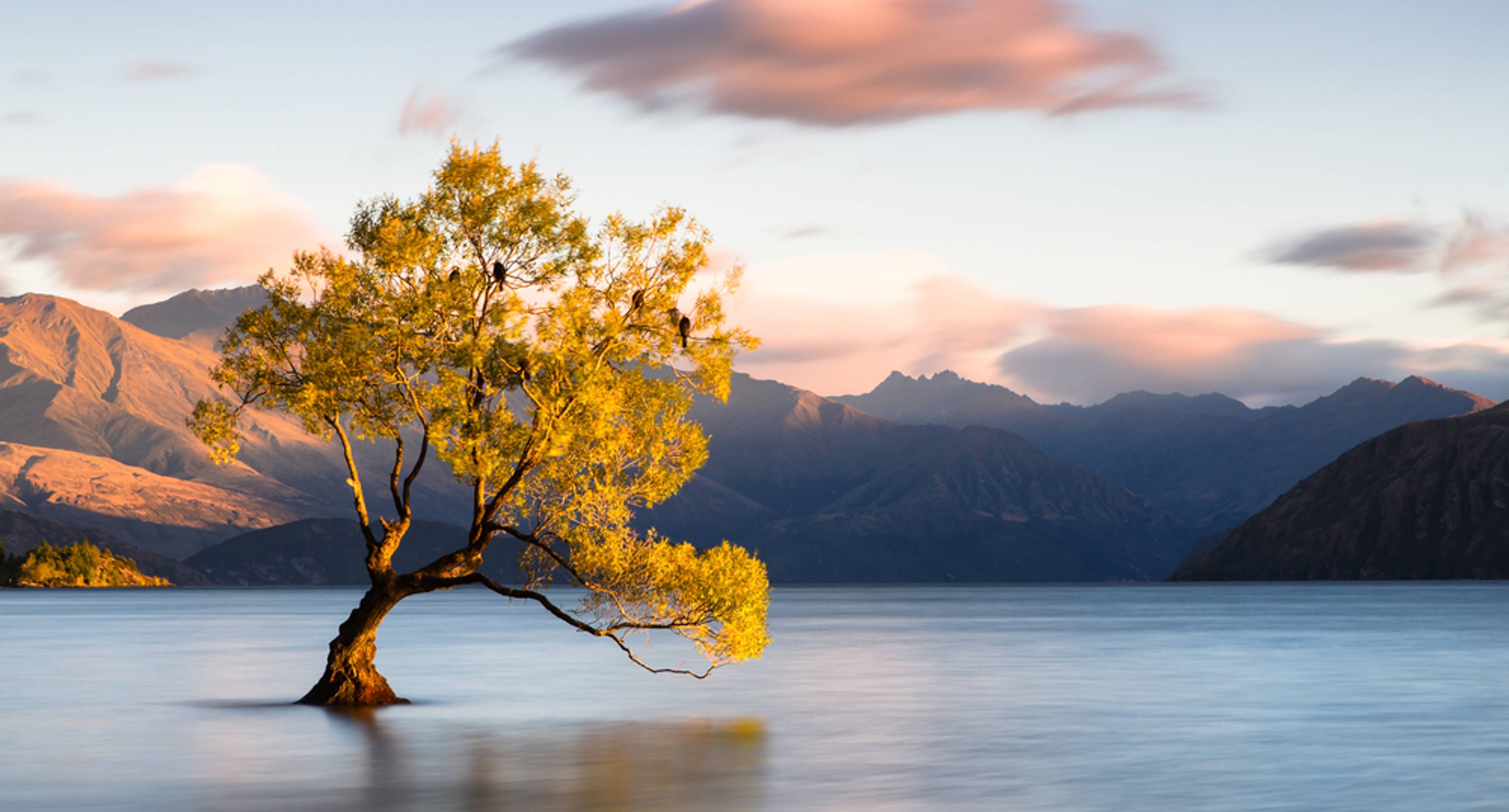 From Fiordland to Wanaka Lake