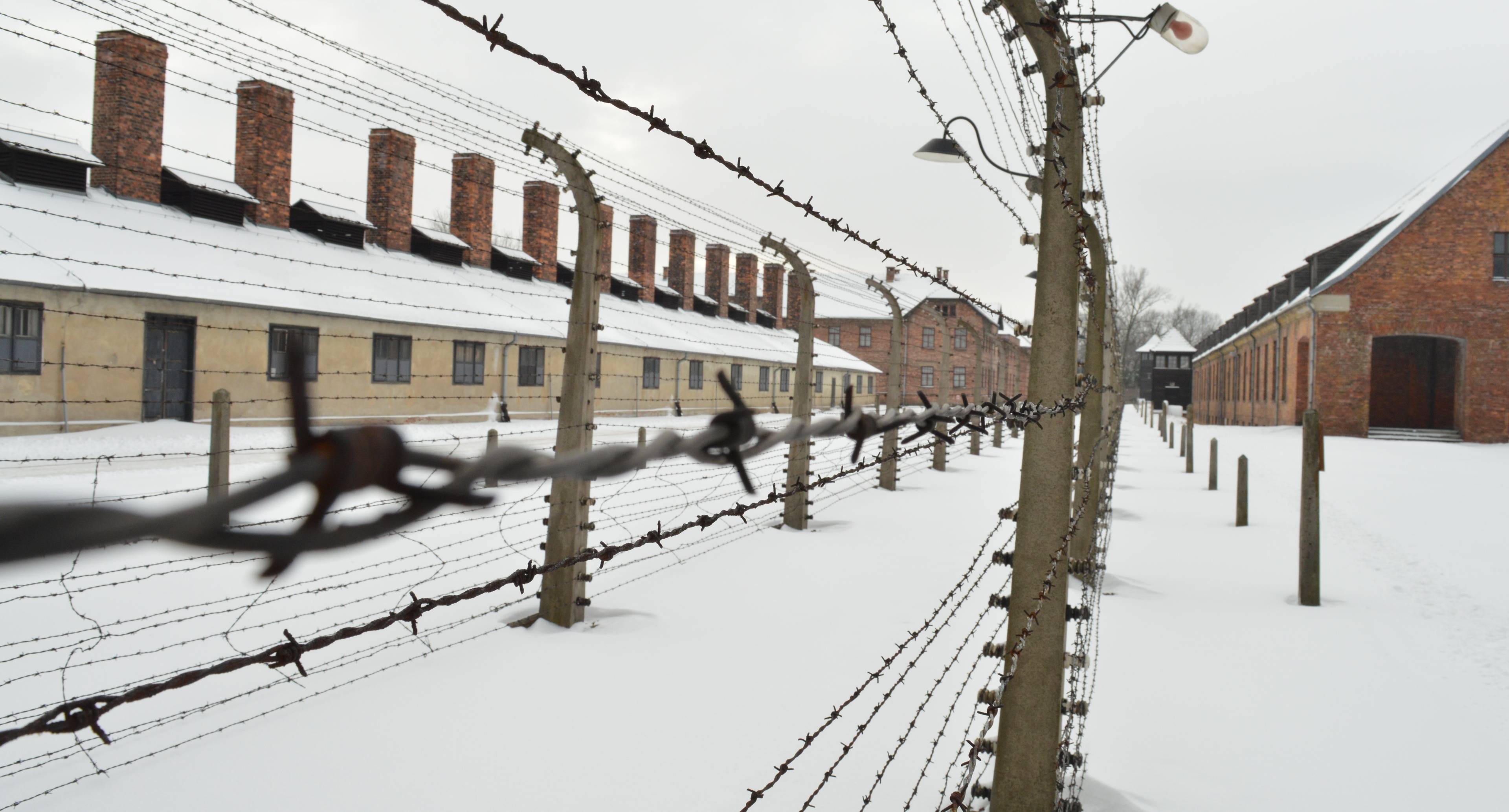 A journey through time and history: Auschwitz-birkenau