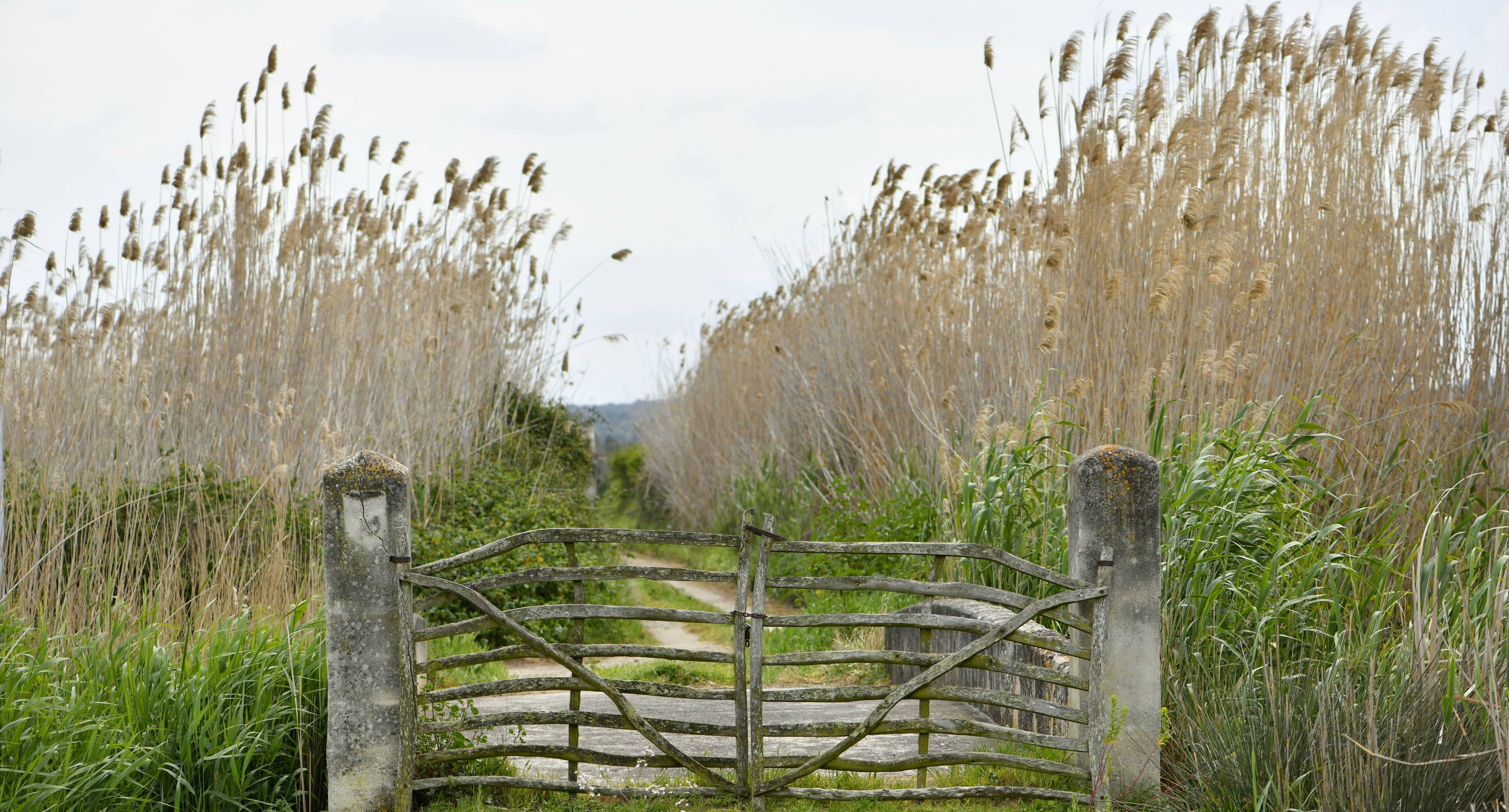 From Historic Medieval Alcúdia to the Natural Park of S'Albufera