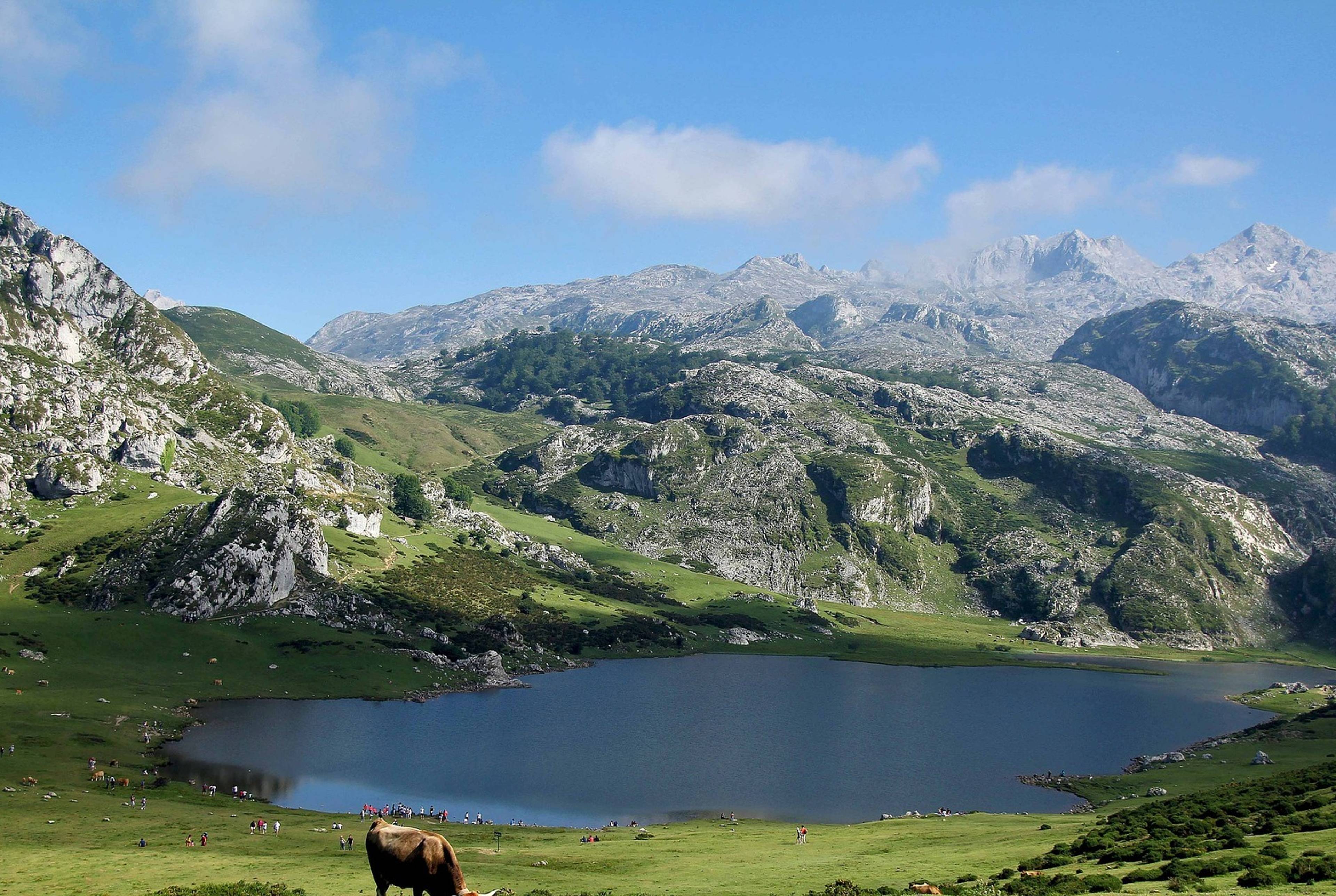 Route through Covadonga Lakes and Picos de Europa, The Greenest Asturias