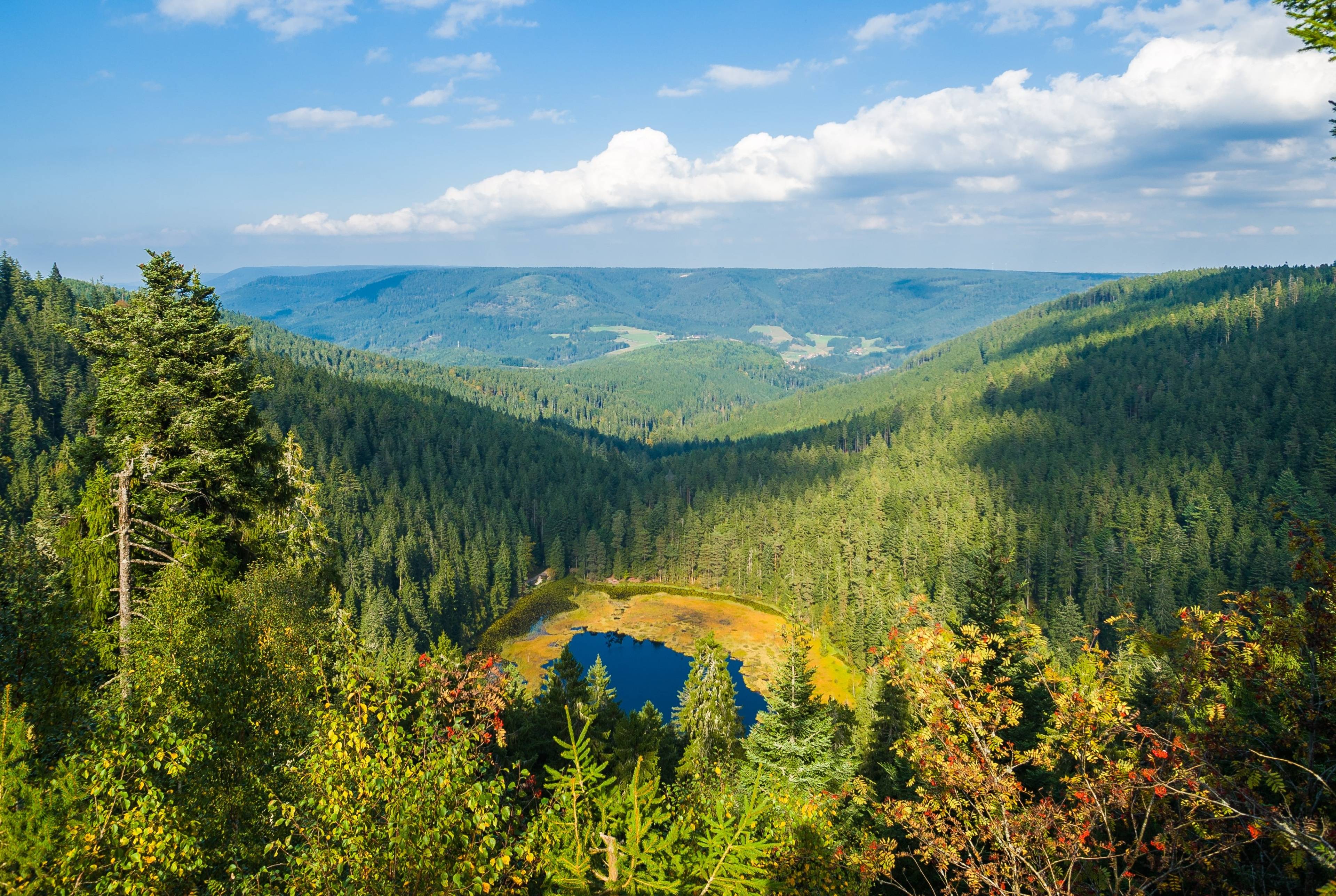 An Adventurous Family Day Out in the Black Forest!