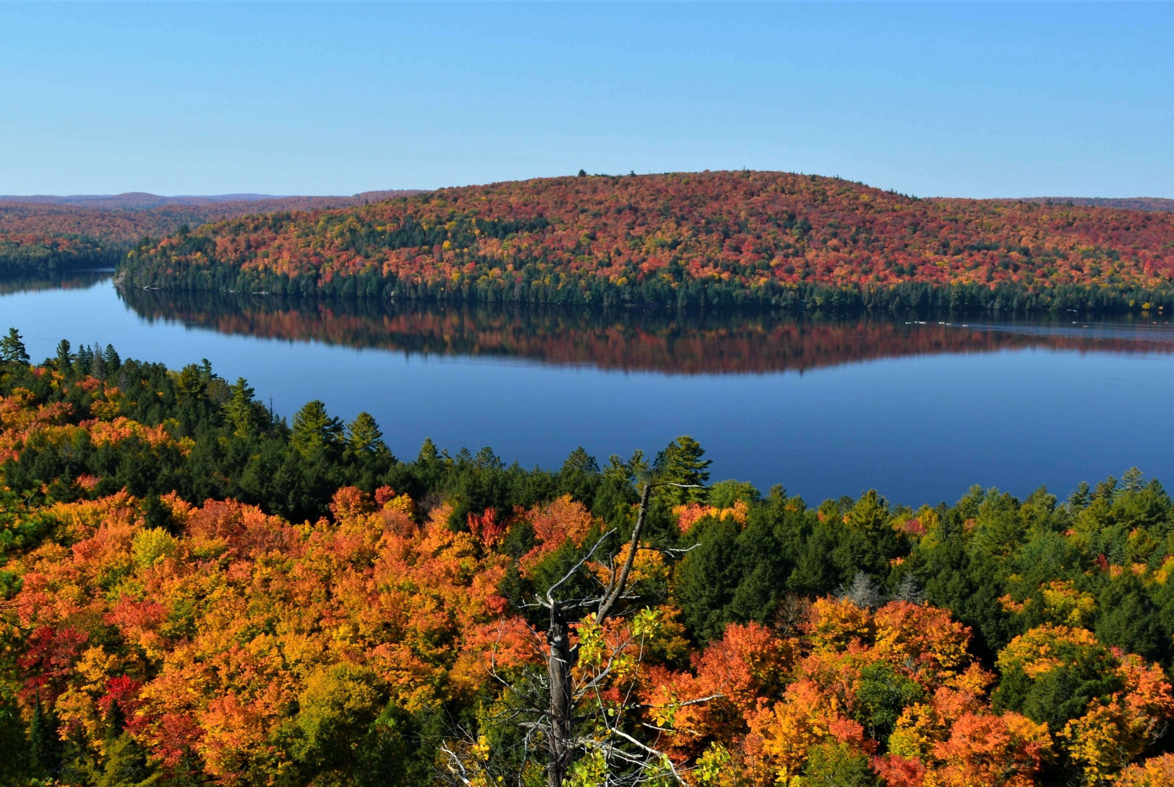 Reconnecting With Nature at Algonquin Provincial Park: a 4-Day Roadtrip