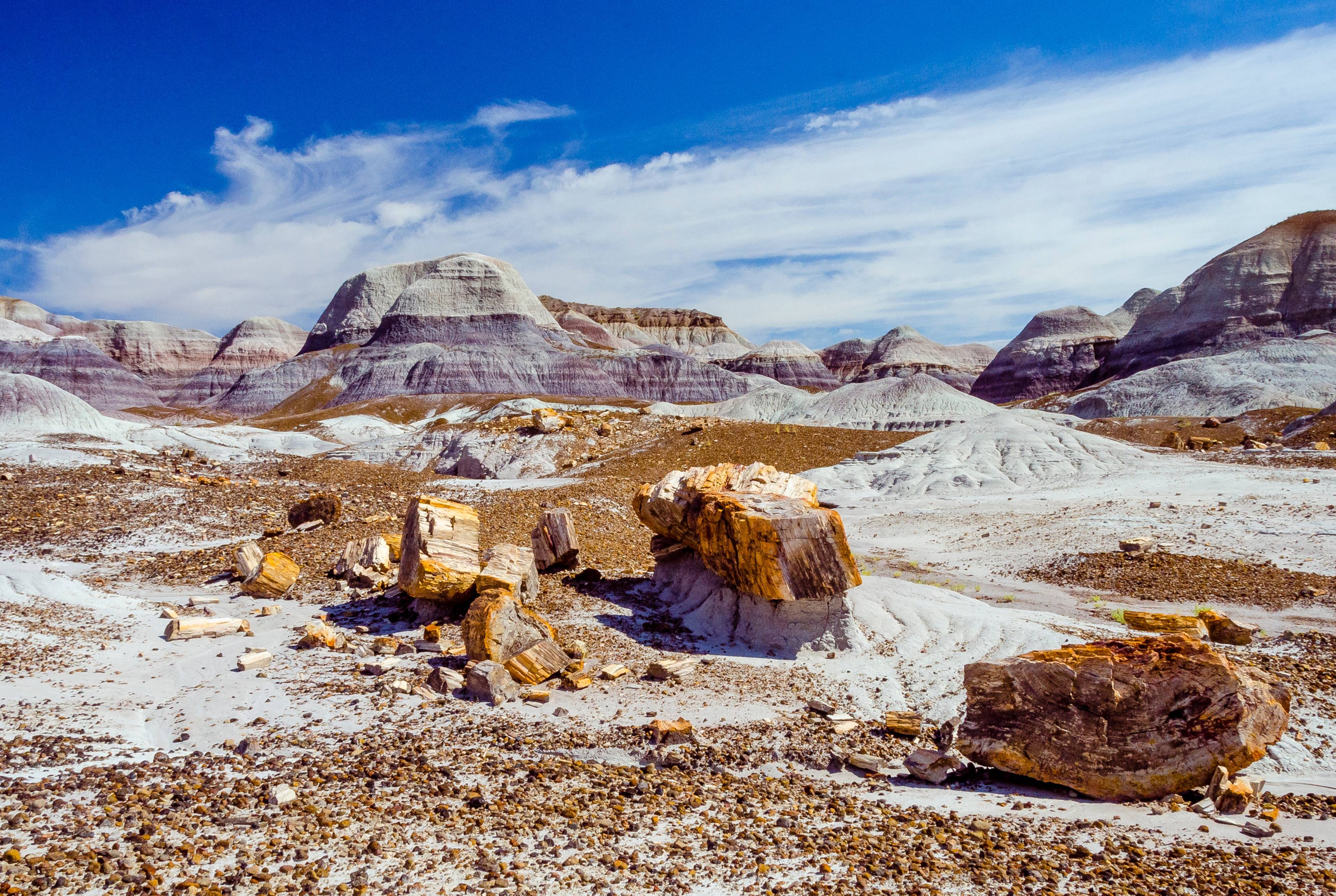 ⚡ Durango to Flagstaff: Navajo Nation and National Parks Road Trip