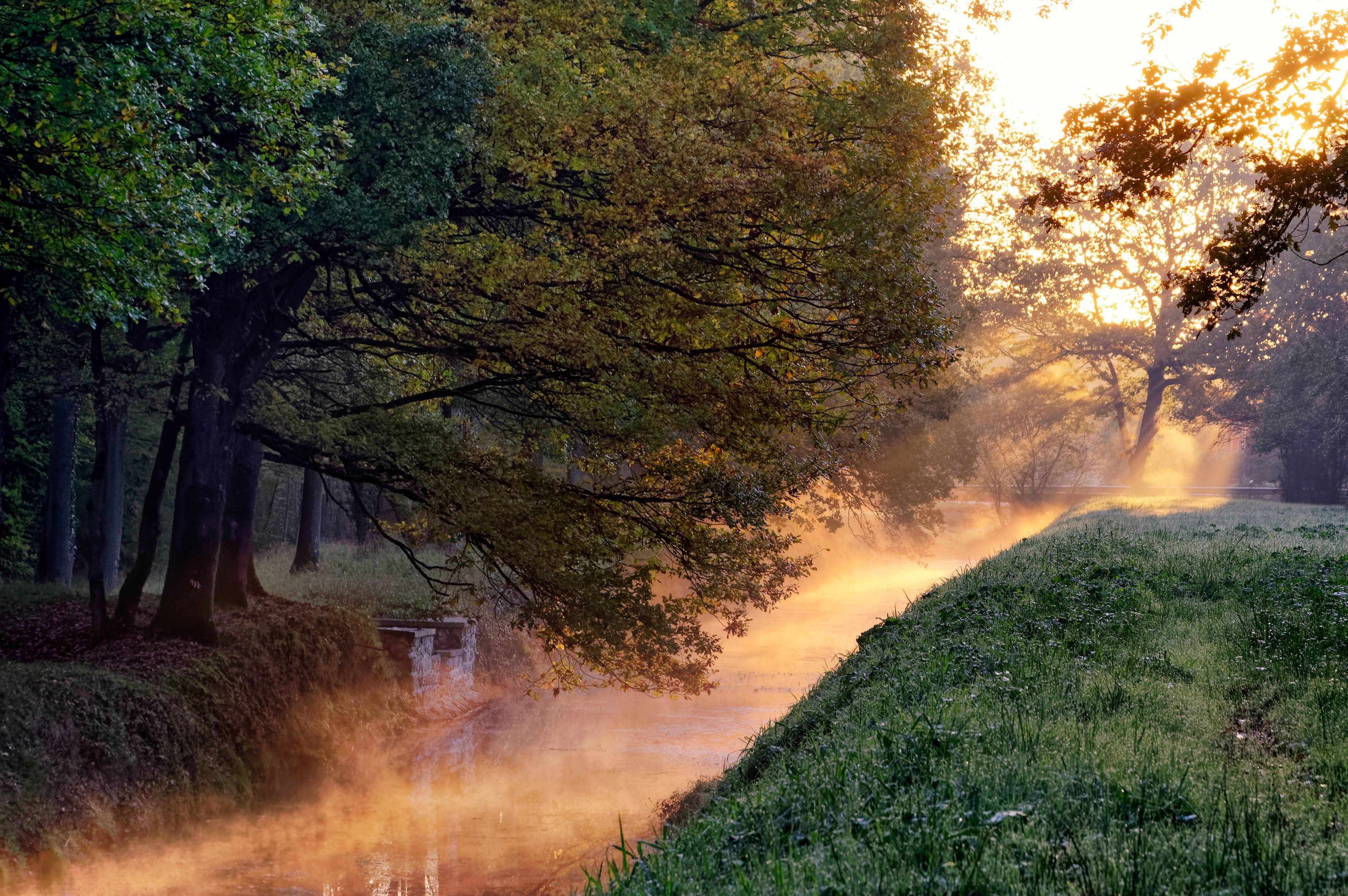 Rambouillet Forest