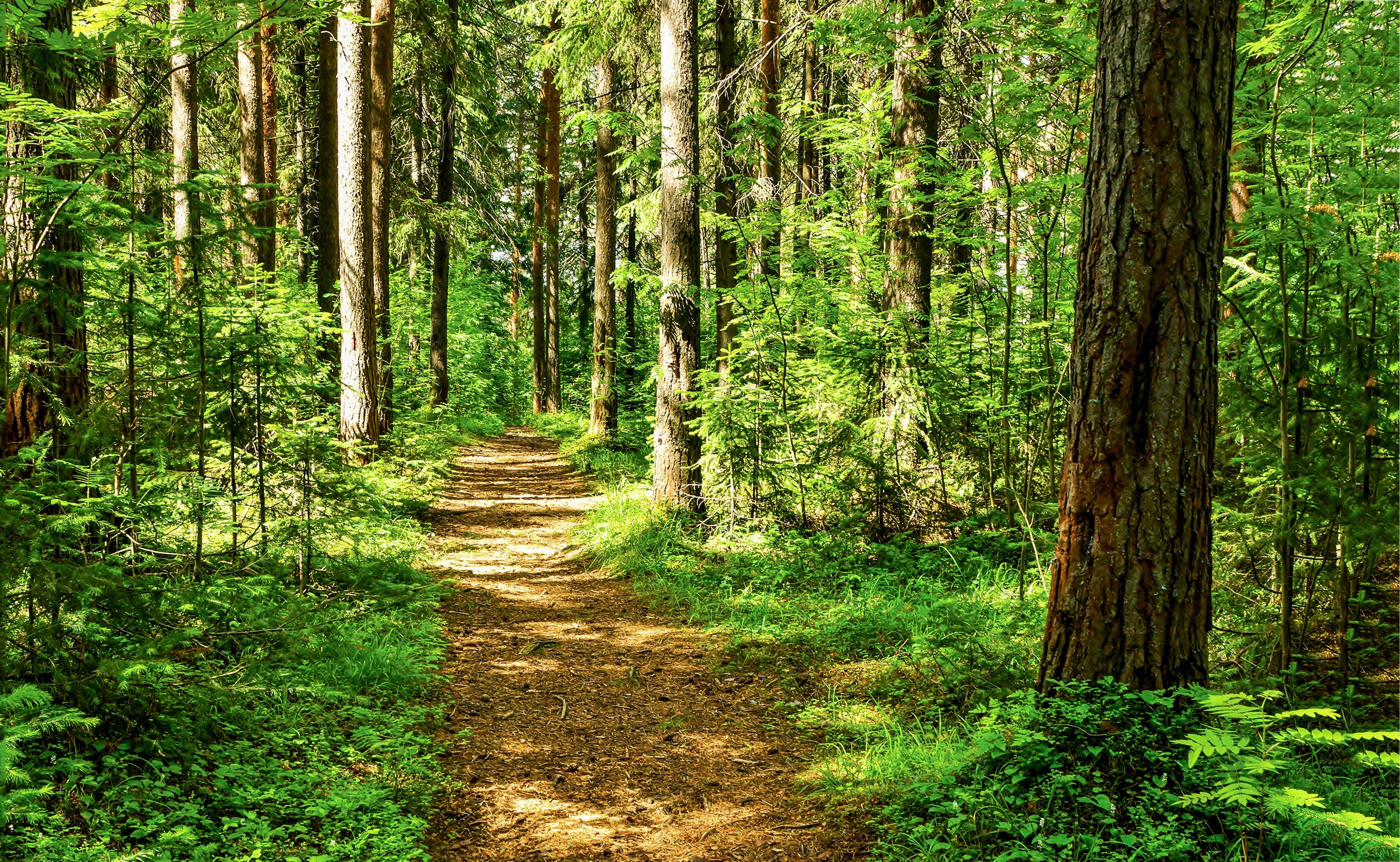 Gregory State Wildlife Area