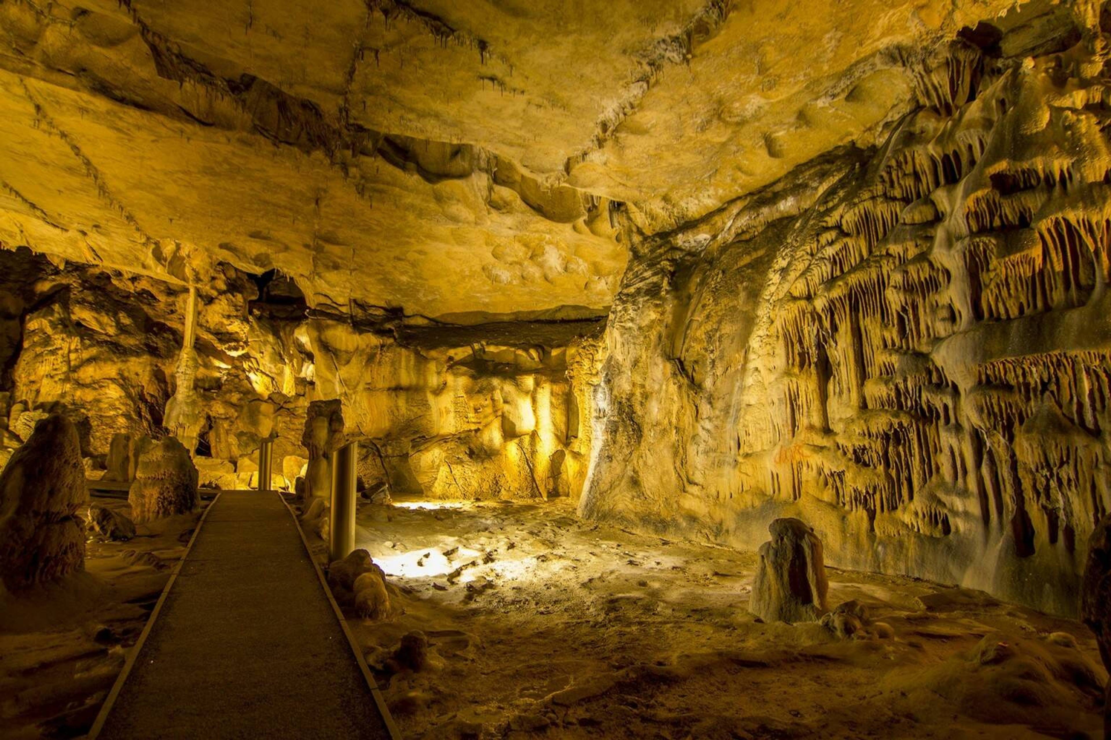 Grottes De Gargas