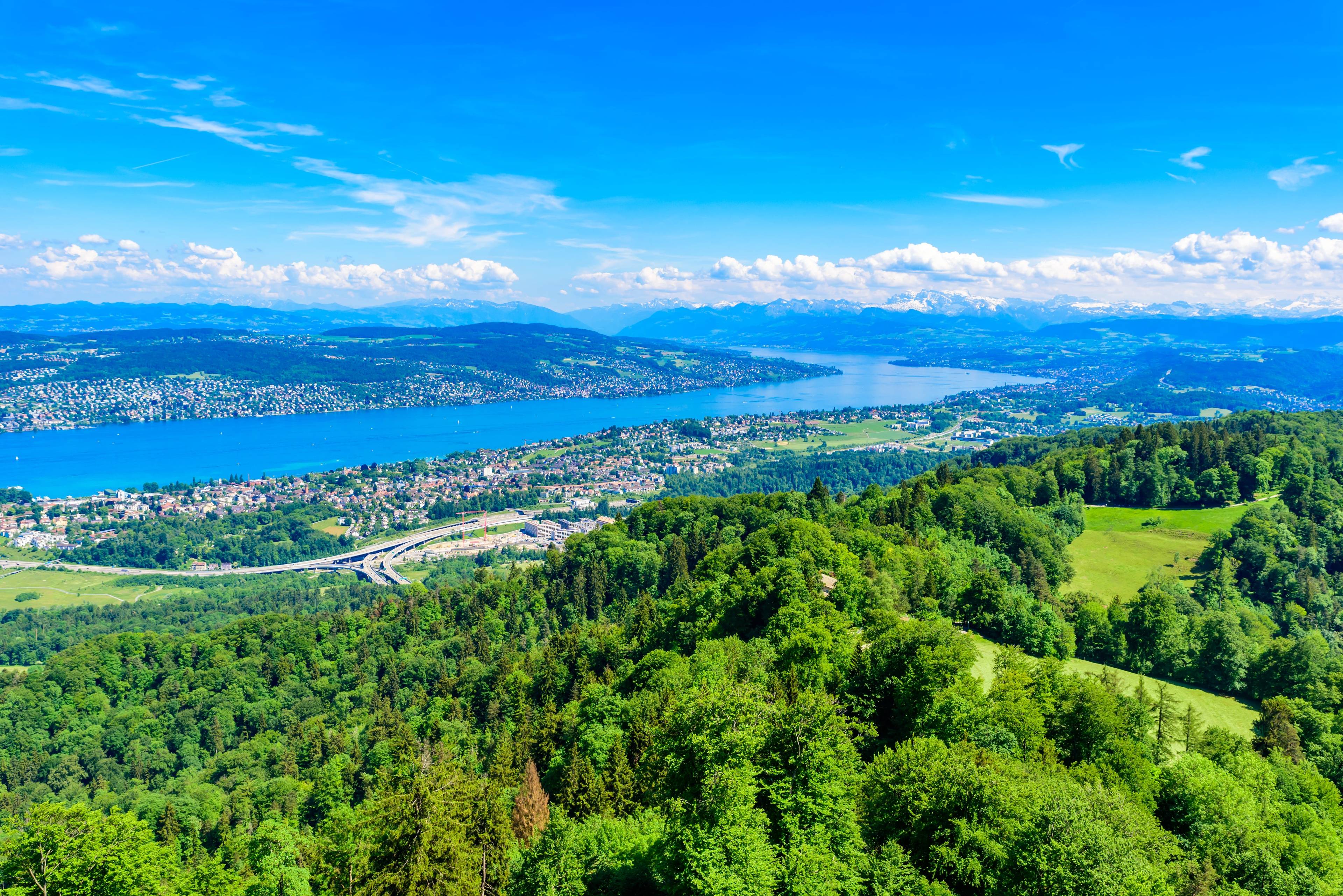 Aussichtsturm Albis-Hochwacht