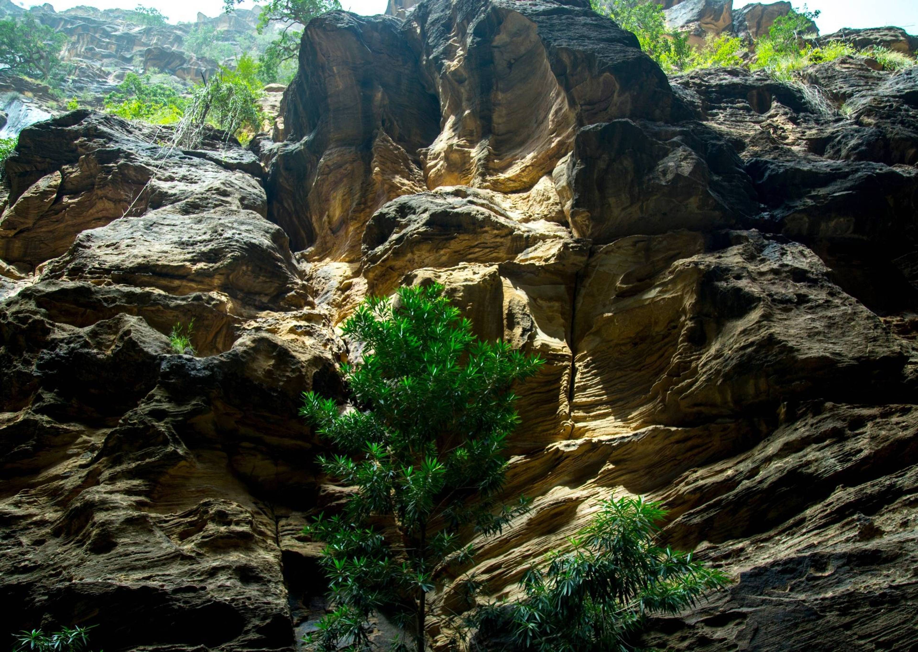 Wadi Nakba