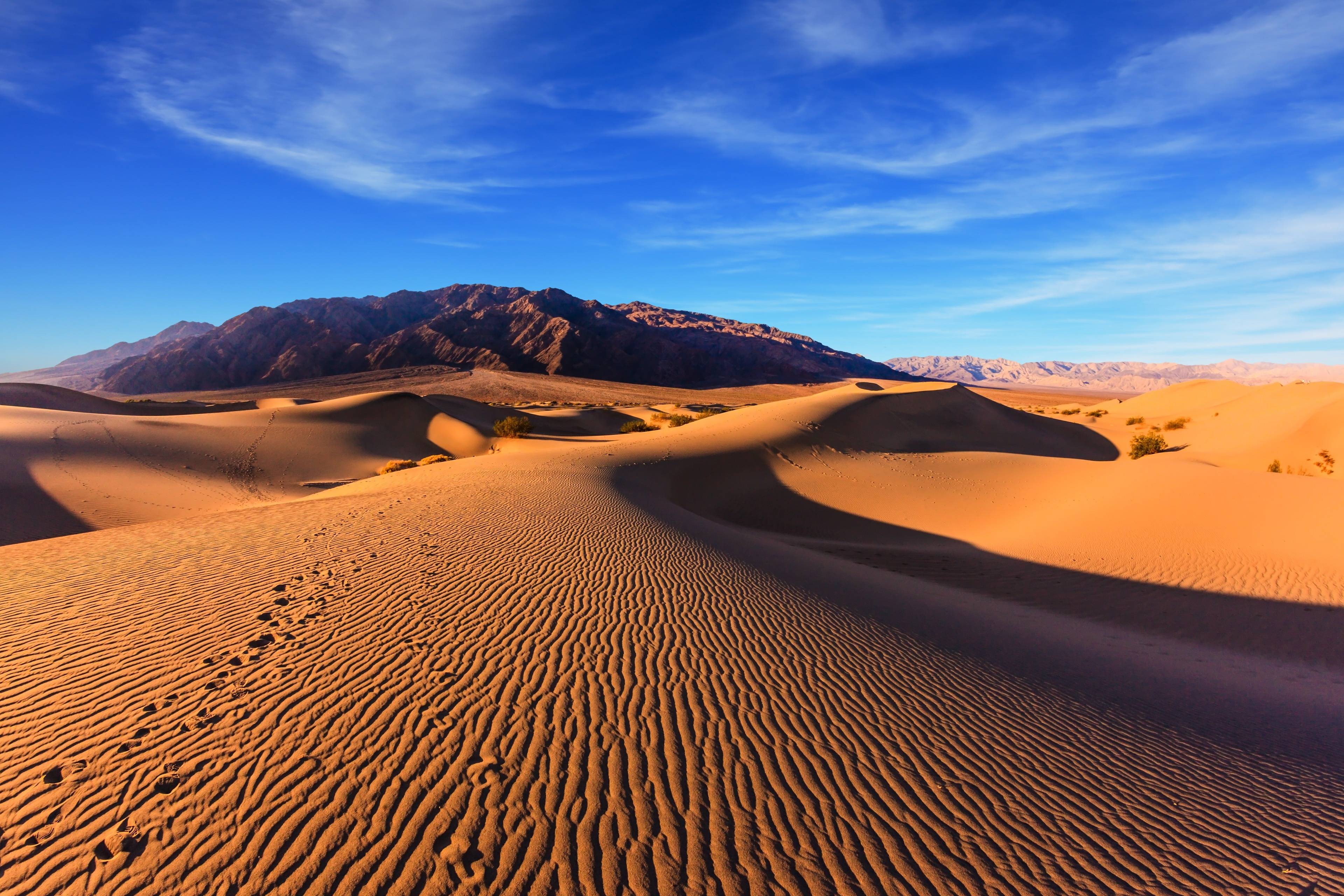 Mesquite Flat Sand Dunes