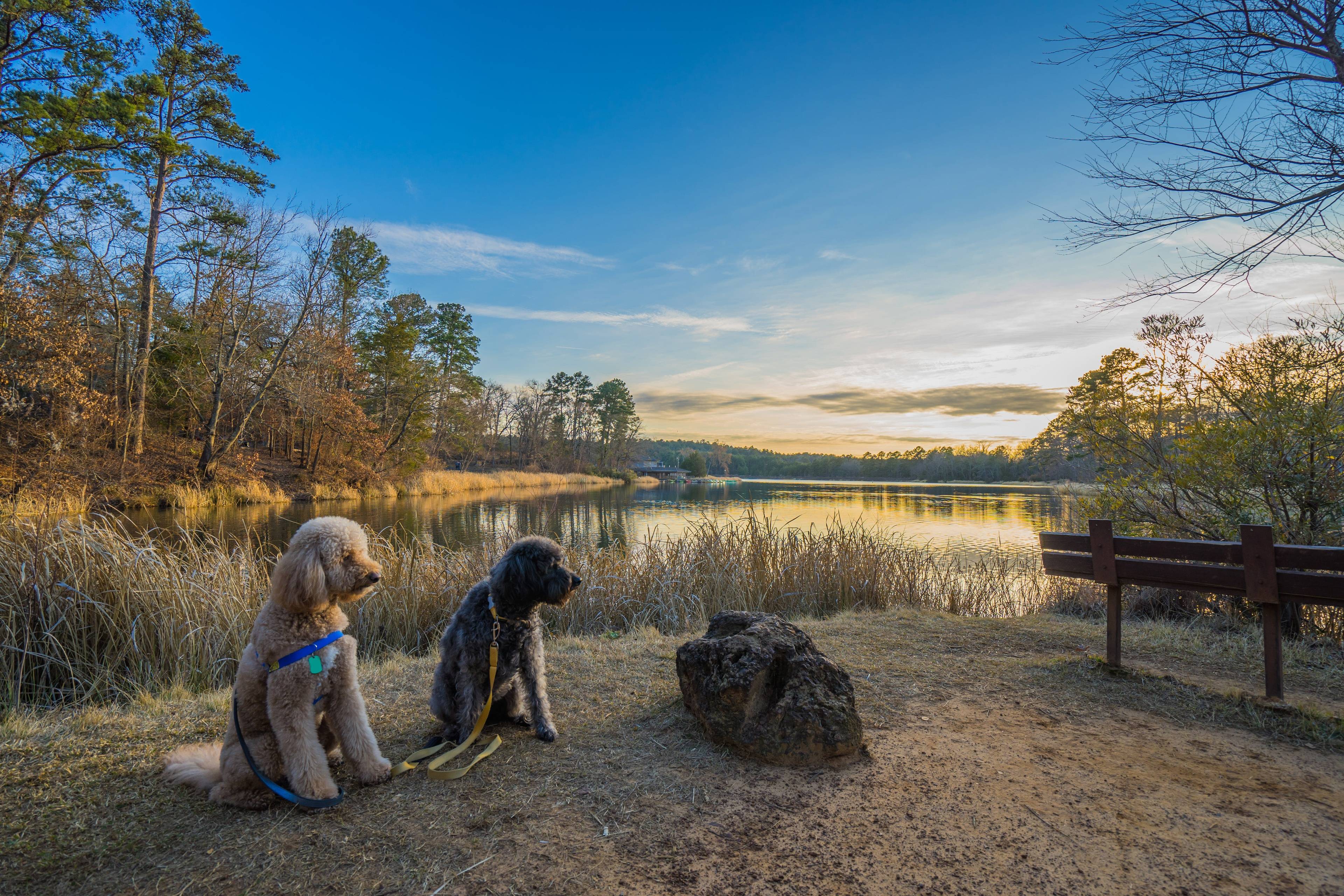 Tyler State Park