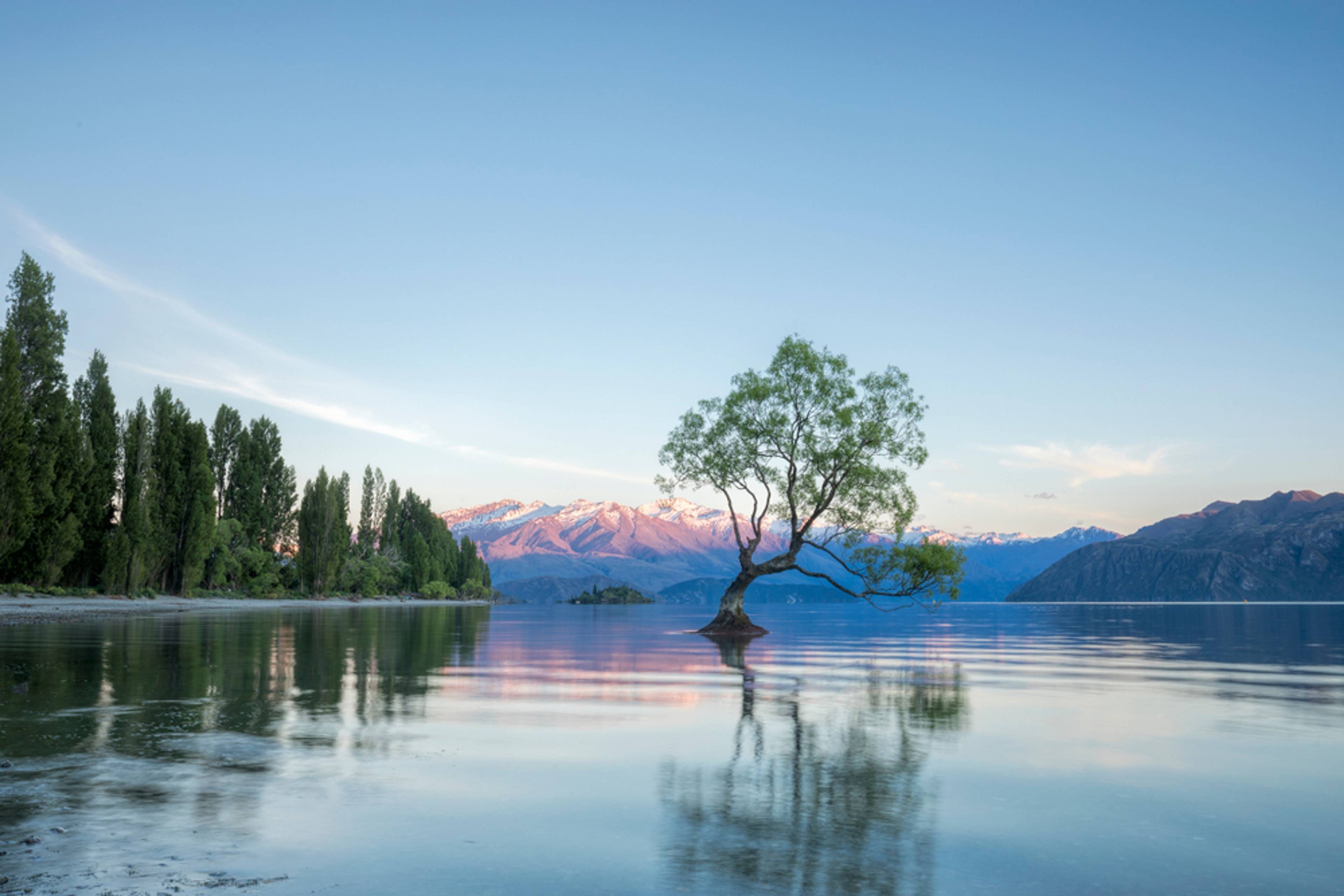  Wānaka Lake Hike/Bike Track