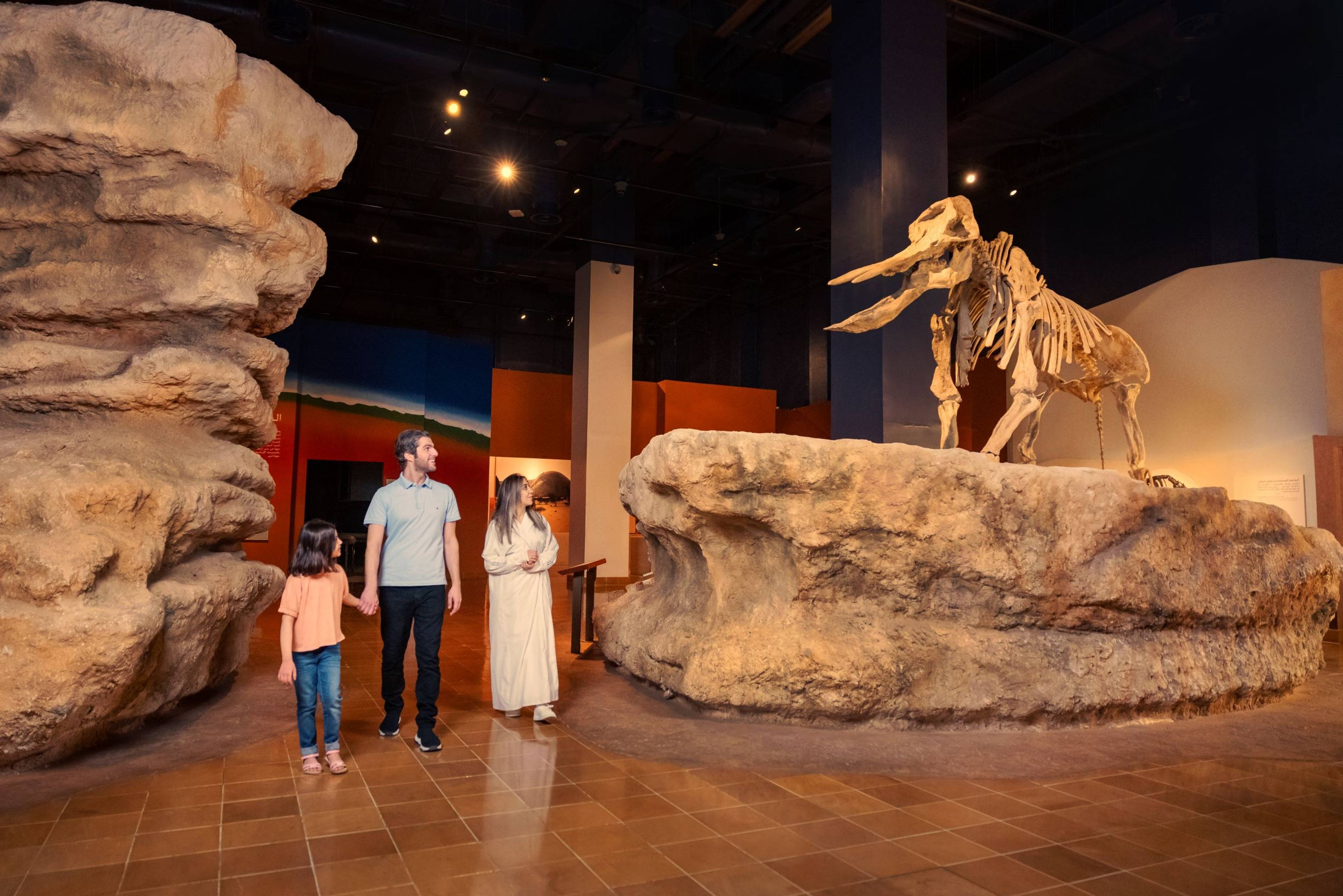 The Saudi National Museum