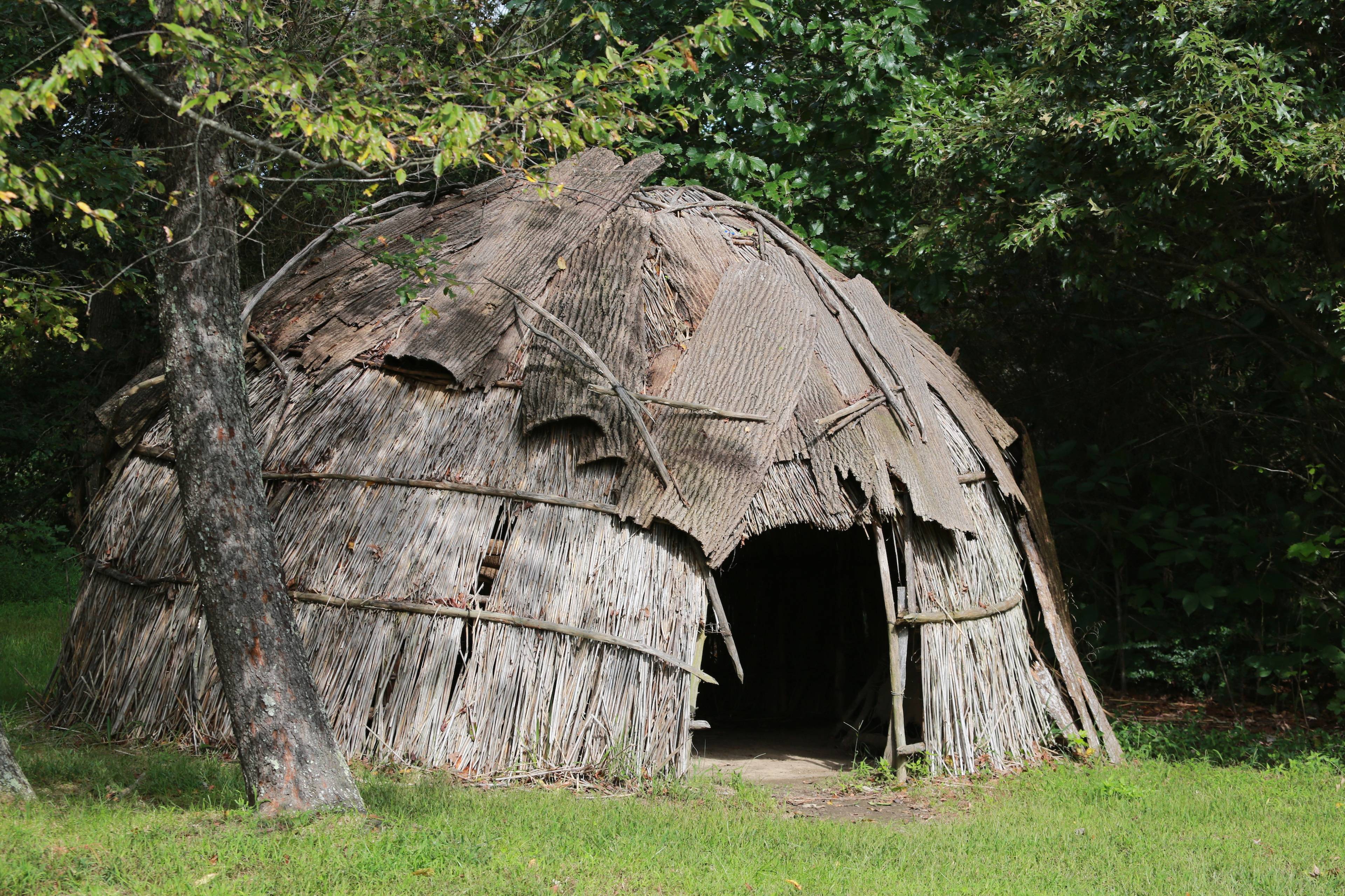 The Institute For American Indian Studies